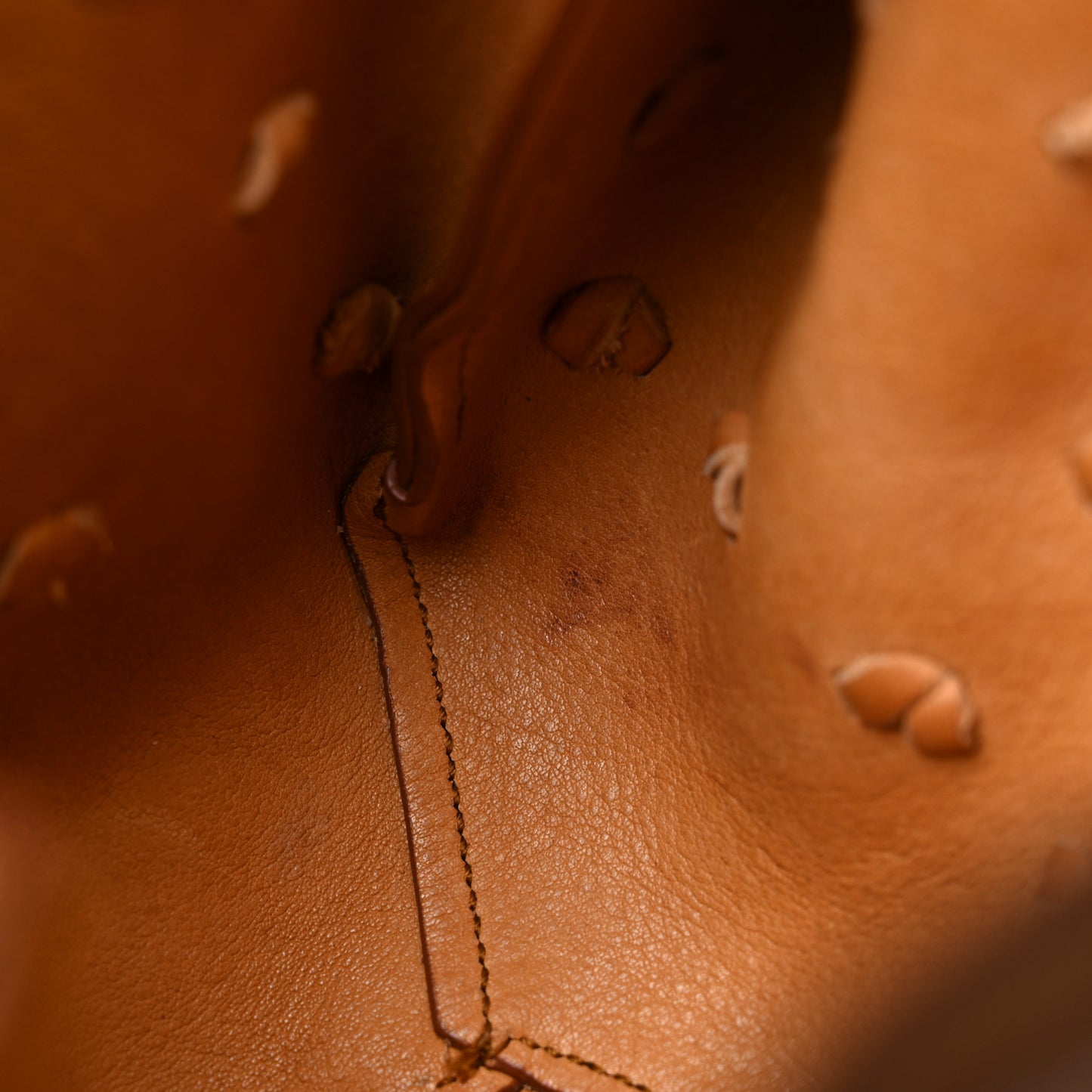 Calfskin Fringe Monogram Mini Bourse Bucket Bag Tan