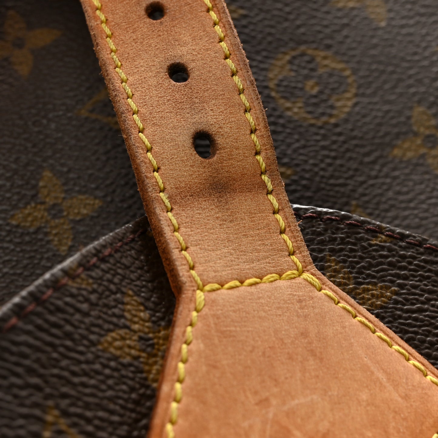 Monogram Montsouris GM Backpack