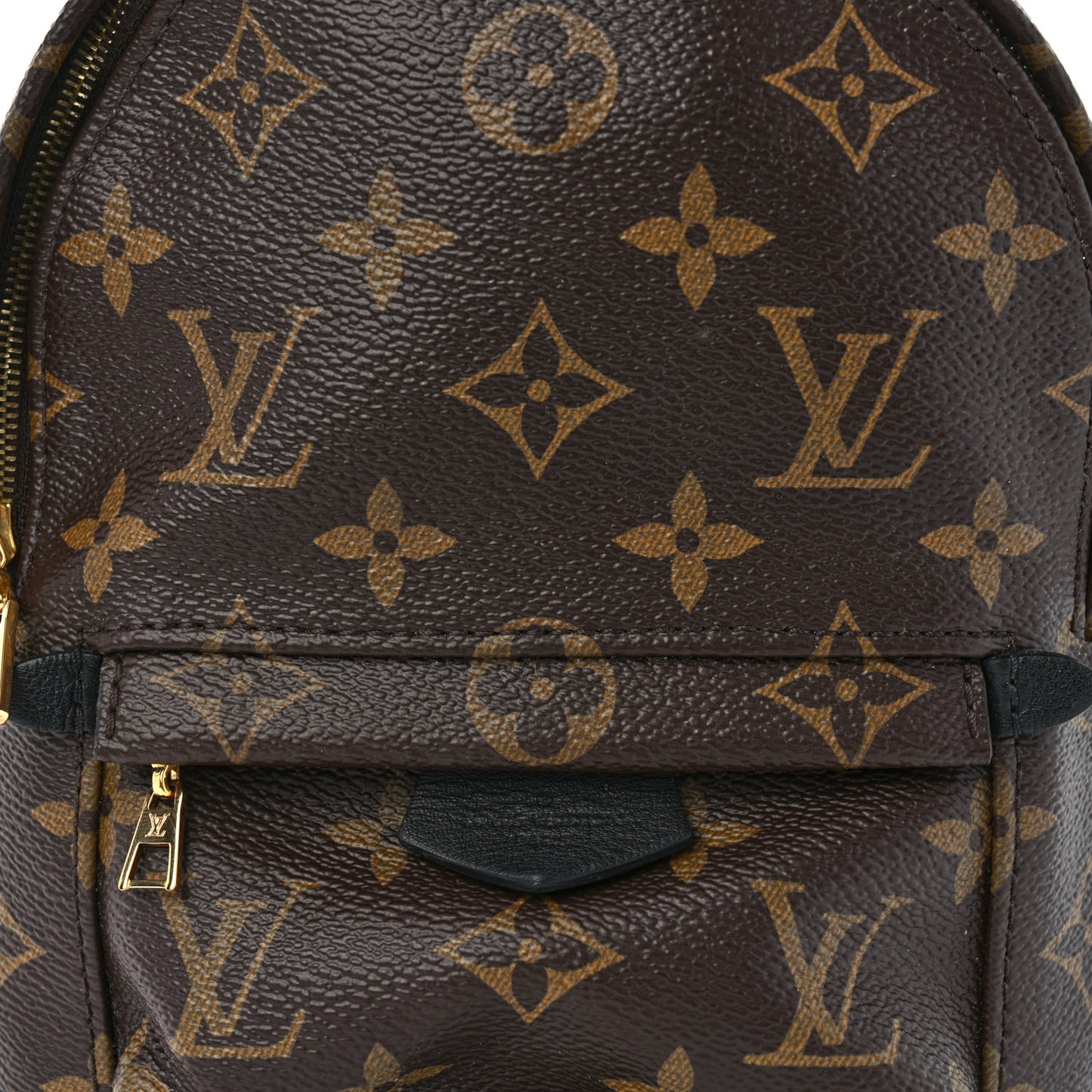 Monogram Palm Springs Backpack Mini