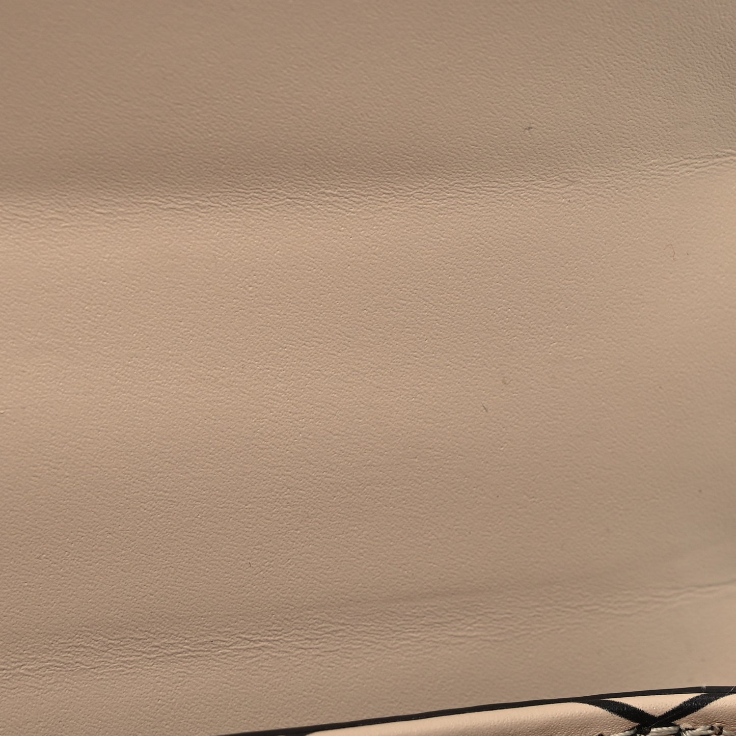 Reverse Monogram Pochette Trunk Verticale