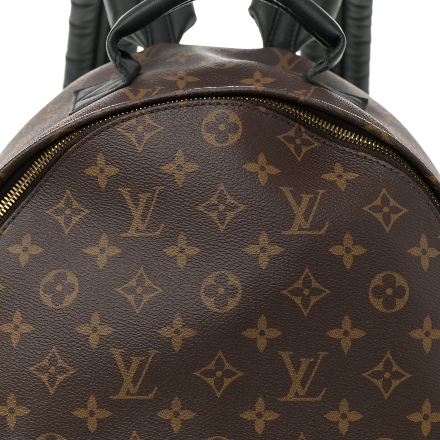 Monogram Palm Springs Backpack MM