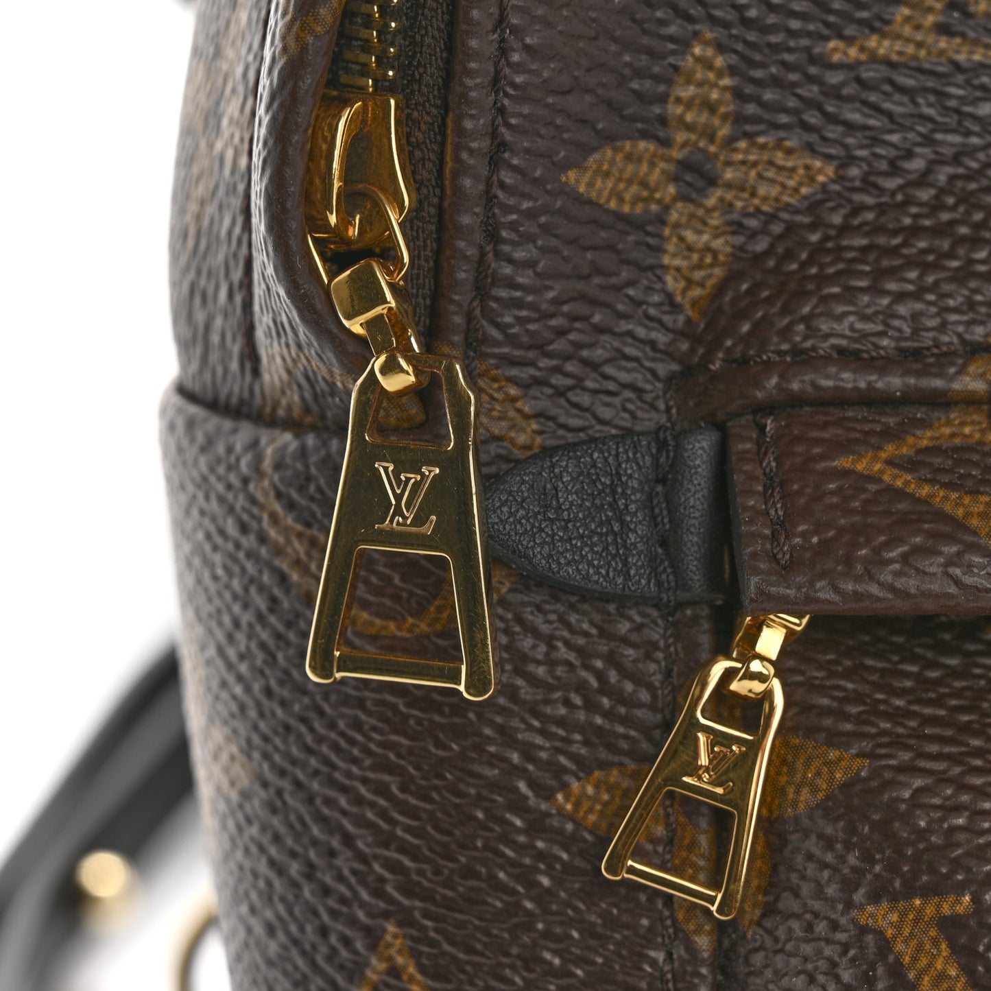 Monogram Palm Springs Backpack Mini