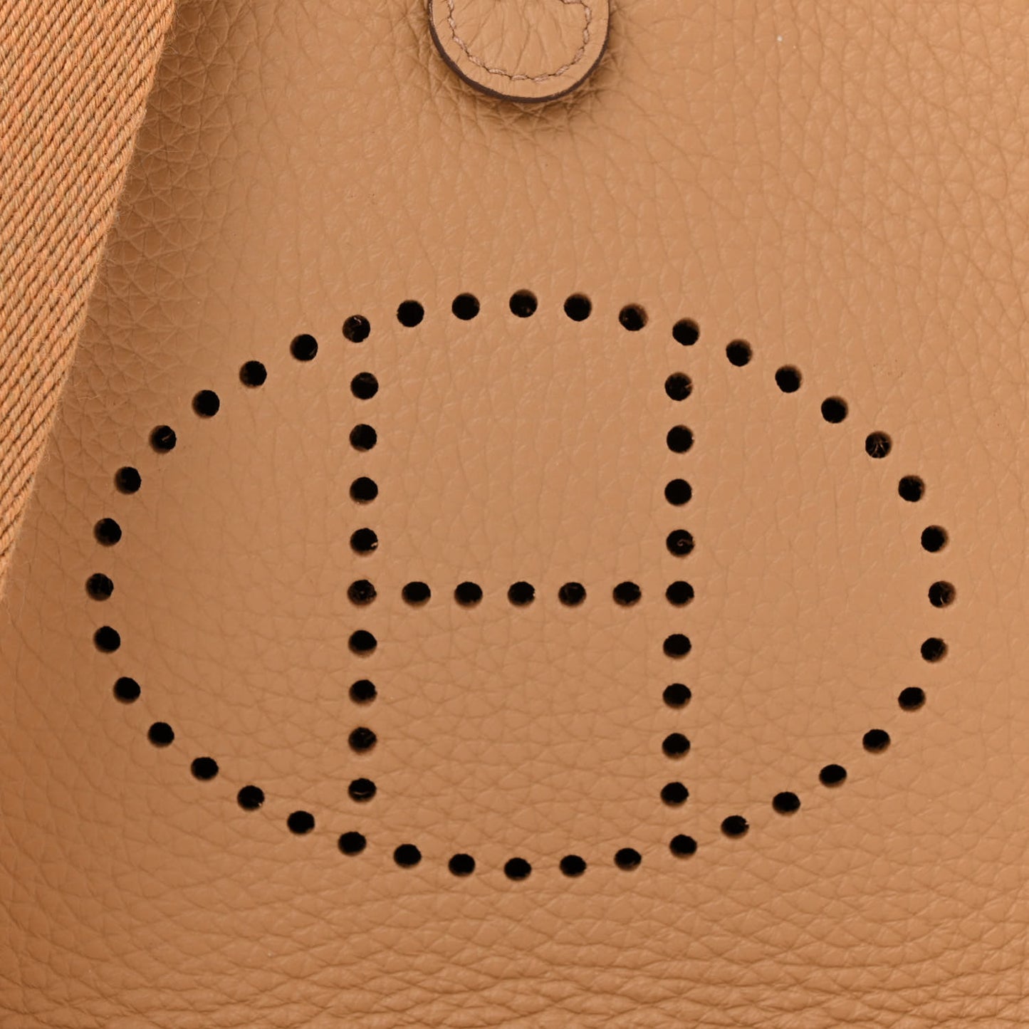 Taurillon Clemence Evelyne TPM Biscuit