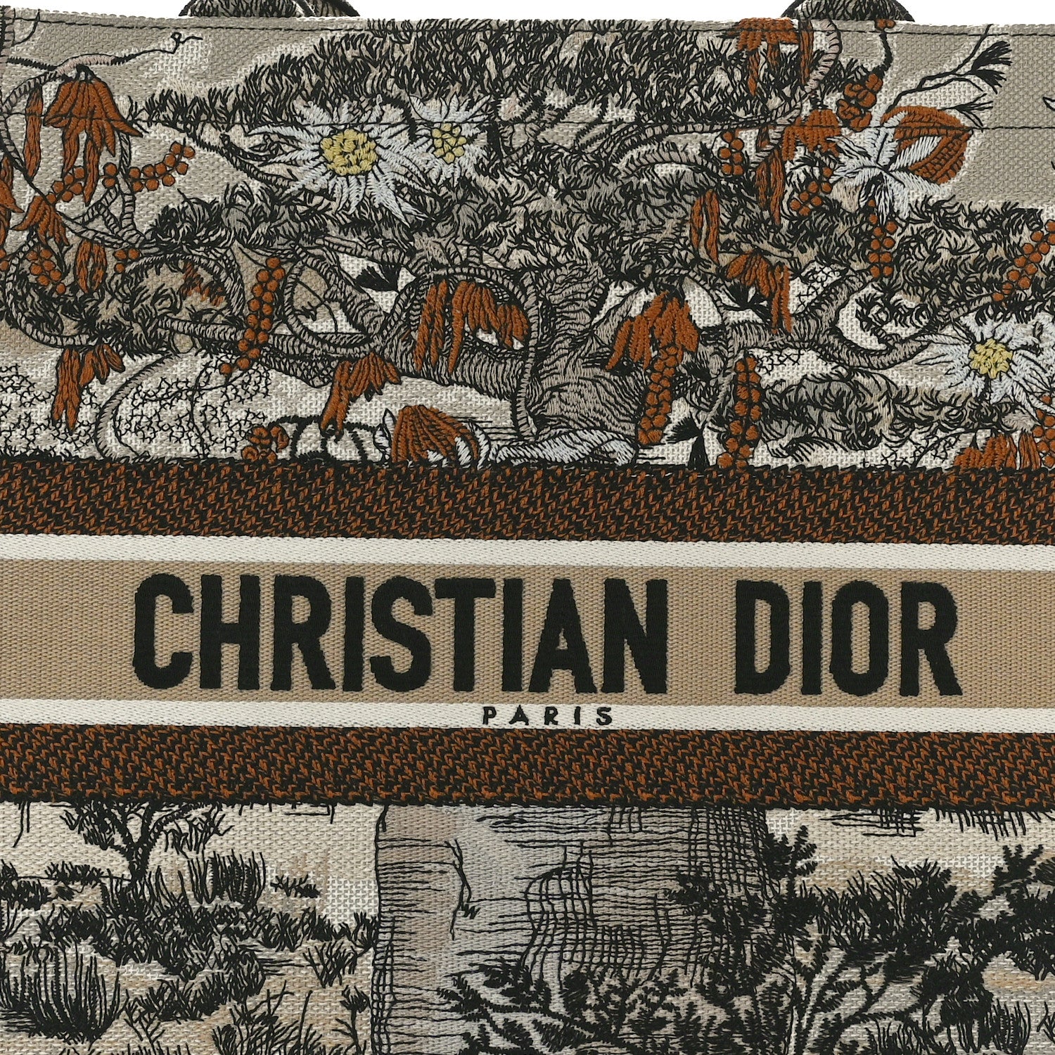 Christian Dior Canvas Embroidered Large Desert Printed Book Tote Beige Multicolor 8 of 13