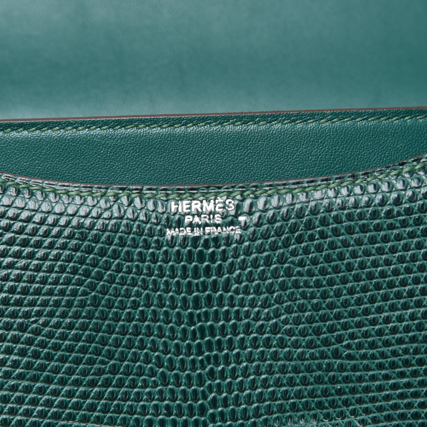 Lizard Constance 18 Malachite