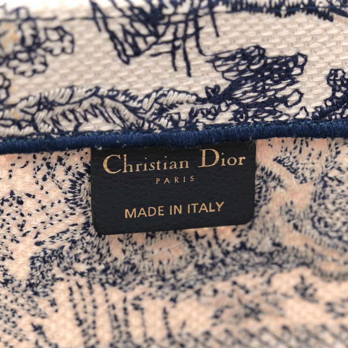 Canvas Embroidered Medium Dioriviera Toile De Jouy Book Tote Blue