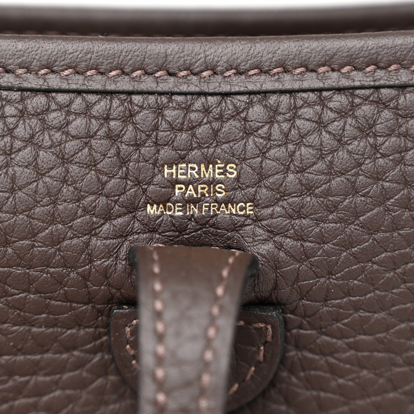 Taurillon Clemence Amazone Evelyne TPM Macassar Havane