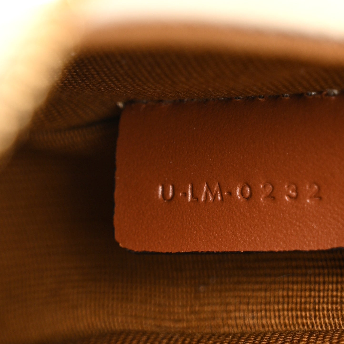 Canvas Calfskin Mini Ava Triomphe Shoulder Bag White