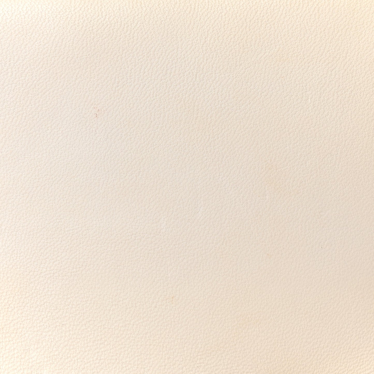Lambskin Quilted Mini Rectangular Flap White