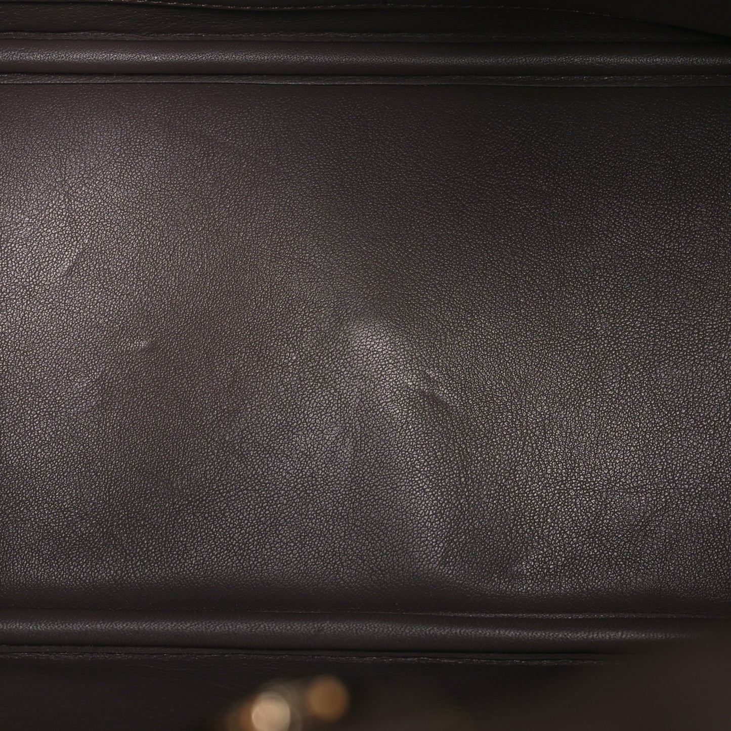 Crocodile Large Diorissimo Yellow