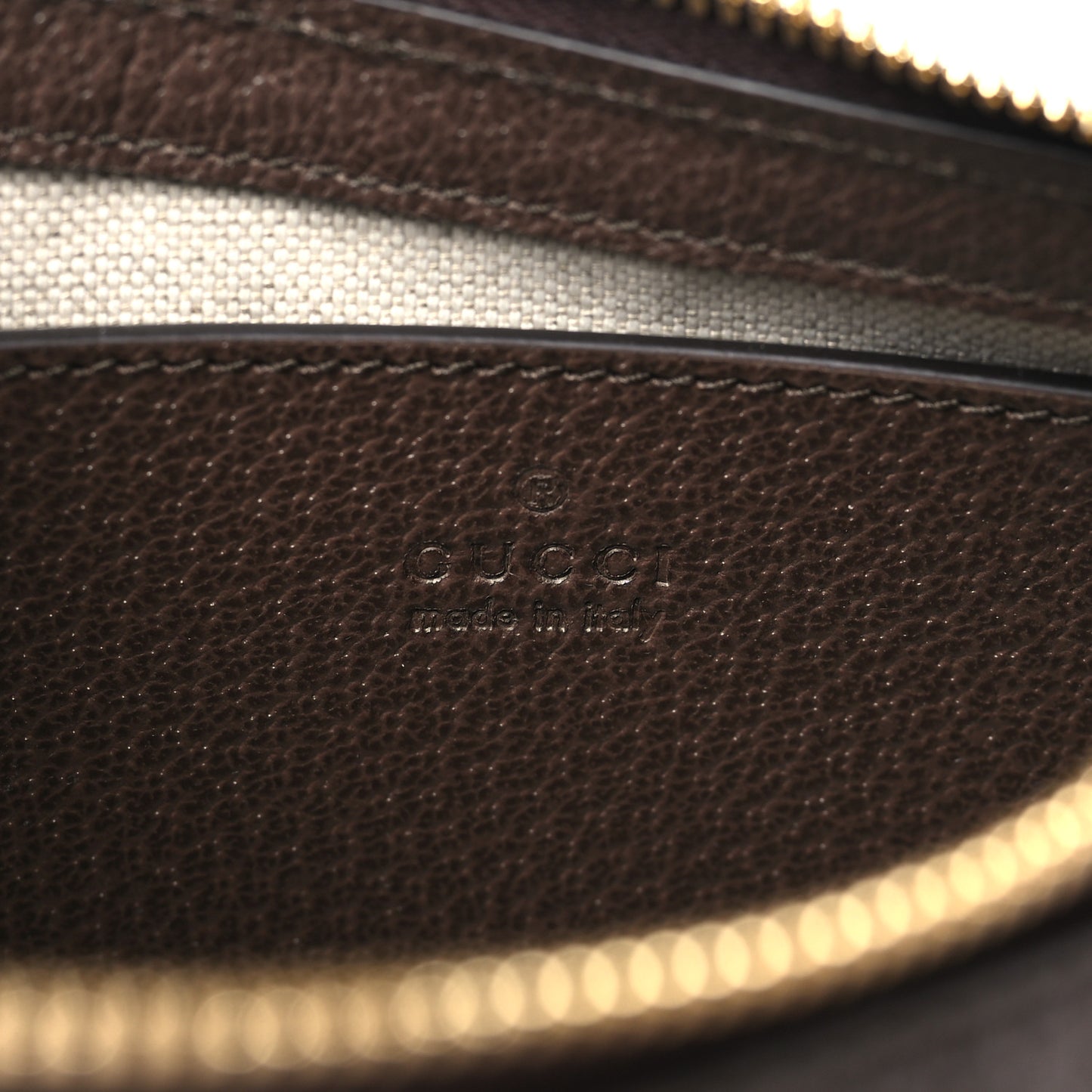 GG Supreme Monogram Textured Dollar Calfskin Small Ophidia Hobo Beige Ebony New Acero