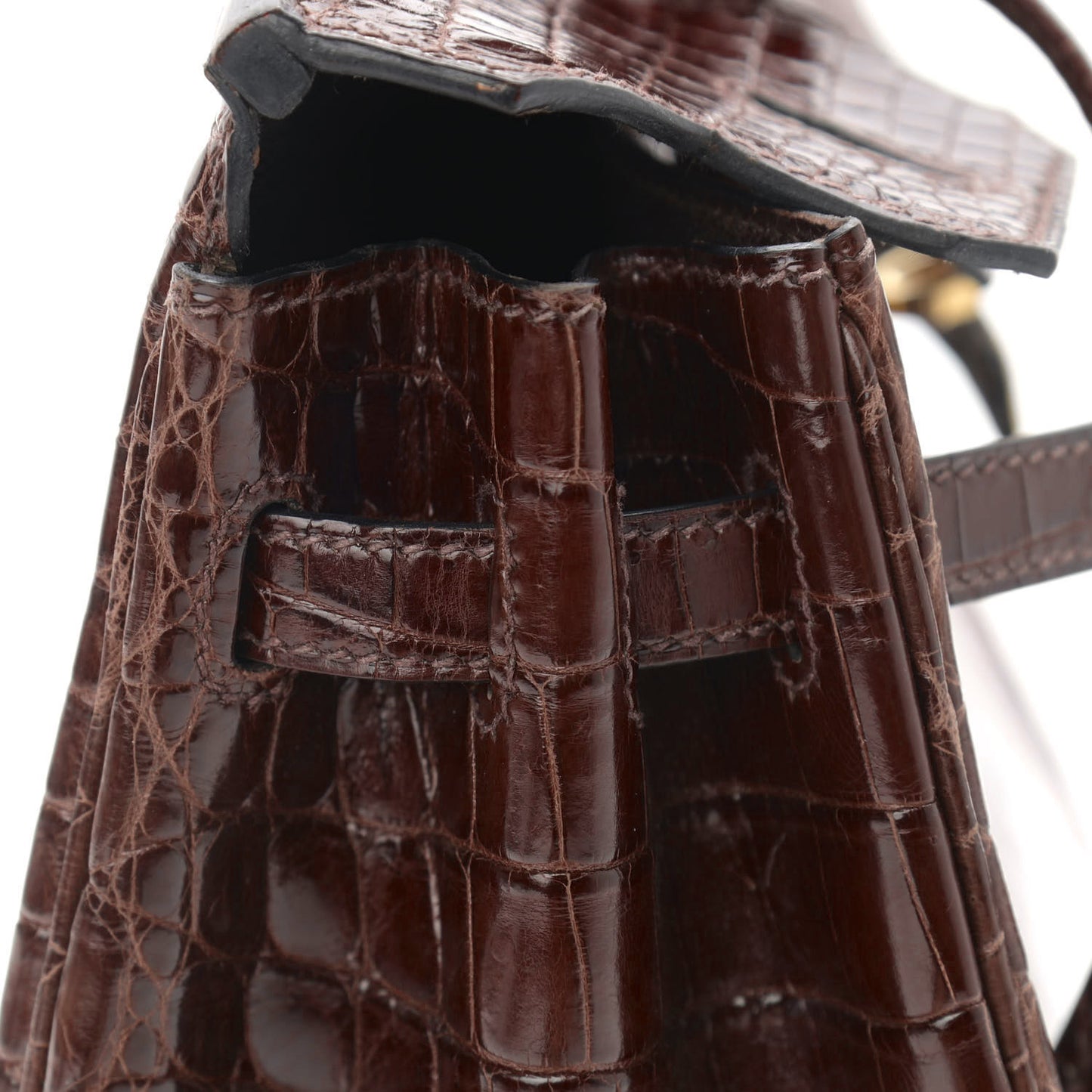 Shiny Niloticus Crocodile Birkin 25 Miel