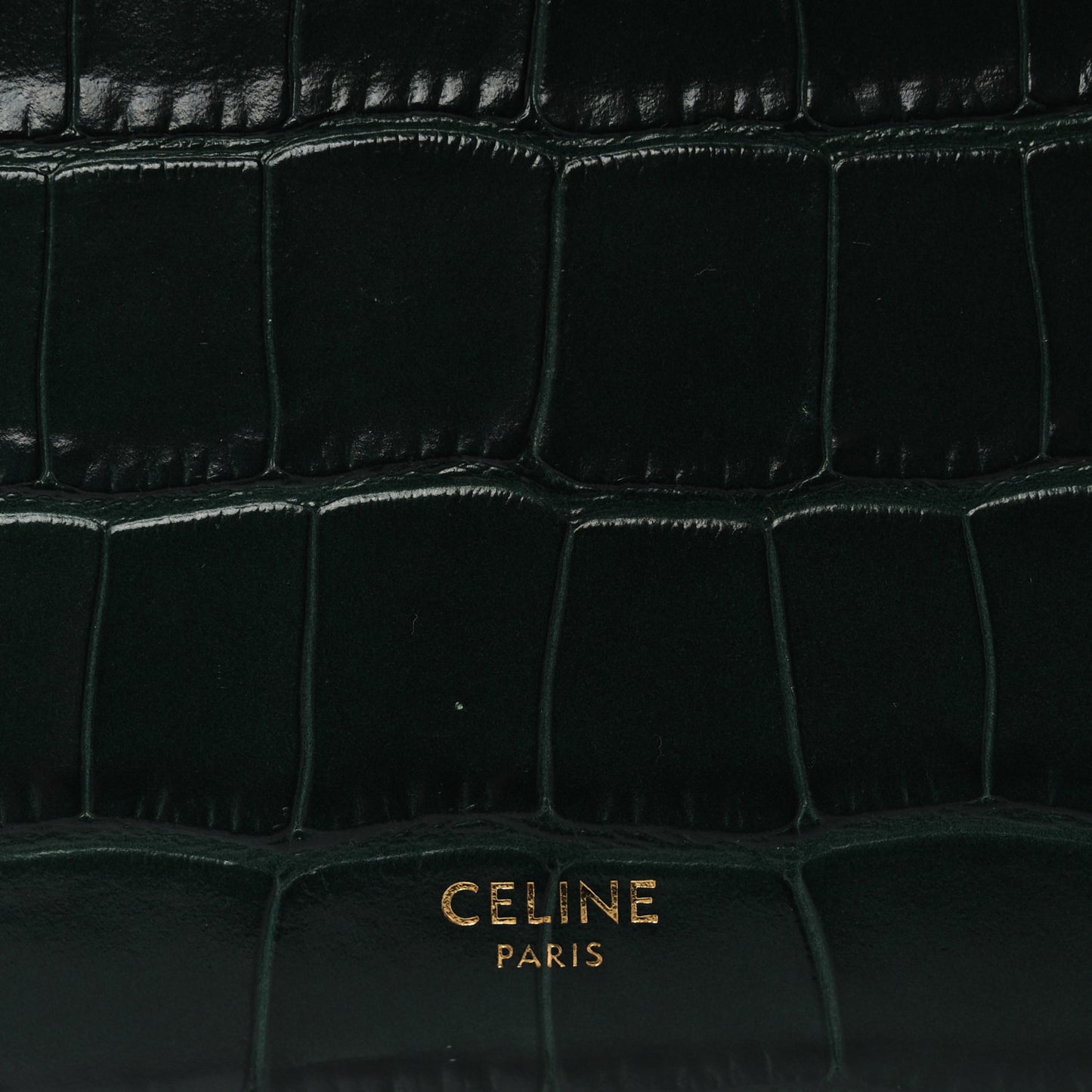 Calfskin Crocodile Embossed Micro Belt Bag Amazone