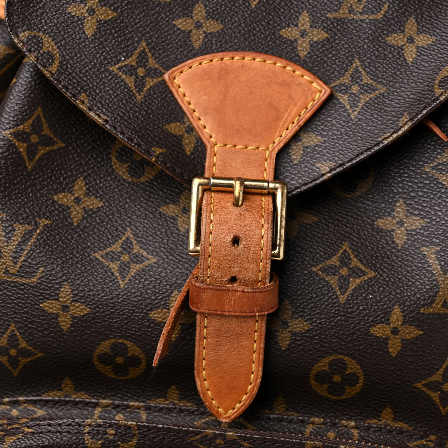 Monogram Montsouris GM Backpack