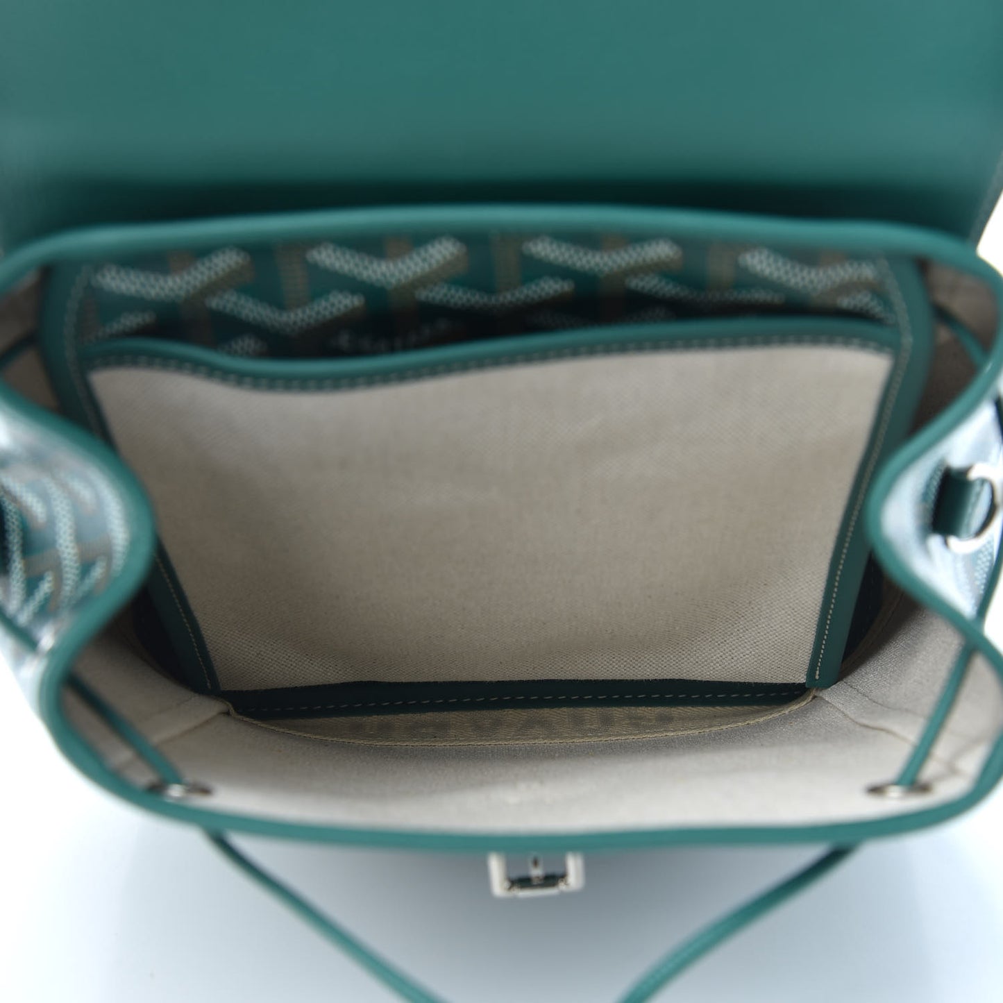 Goyardine Calfskin Mini Alpin Backpack Green