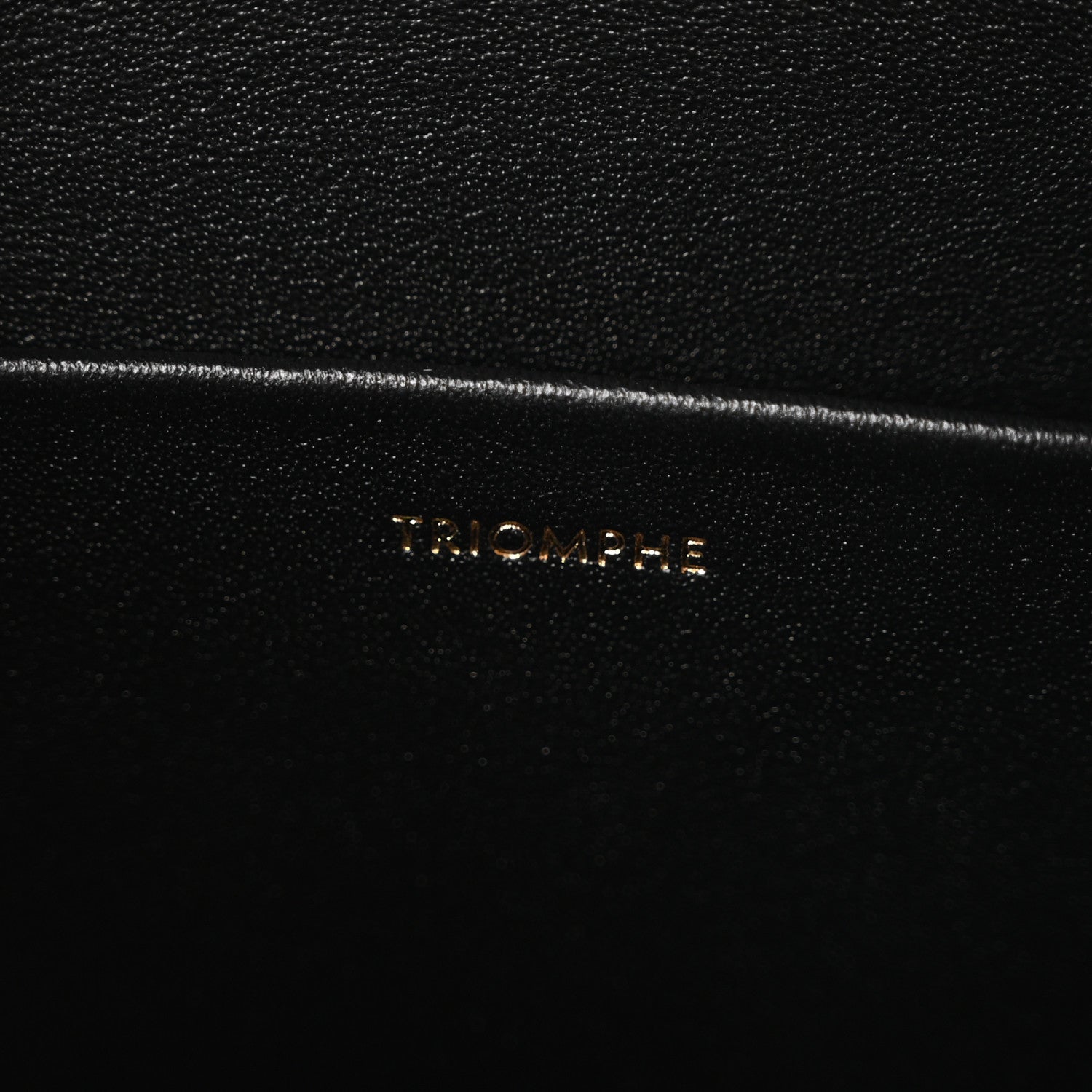 Celine Shiny Calfskin Medium Triomphe Black 7 of 10