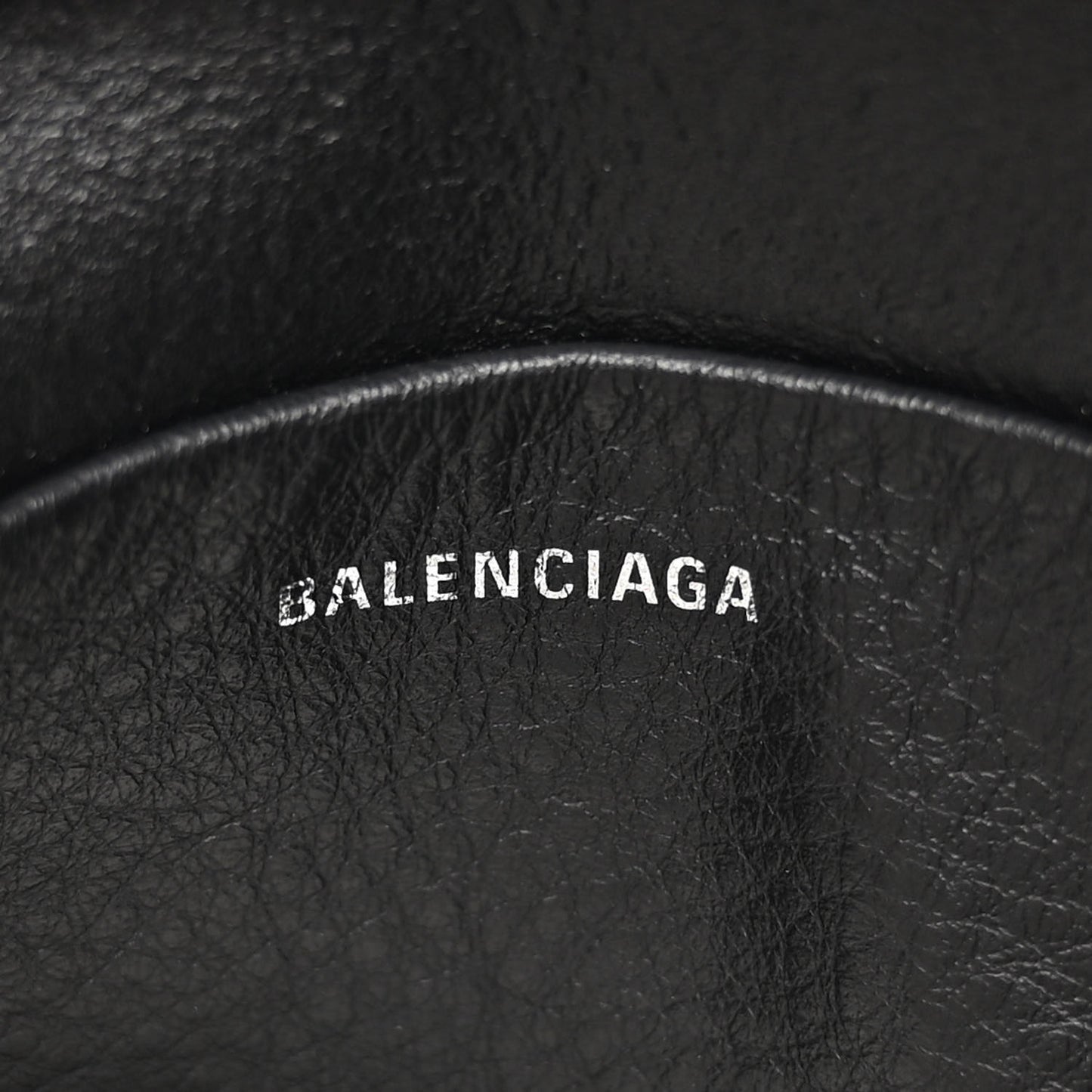 Calfskin Logo XS Everyday Camera Bag Black