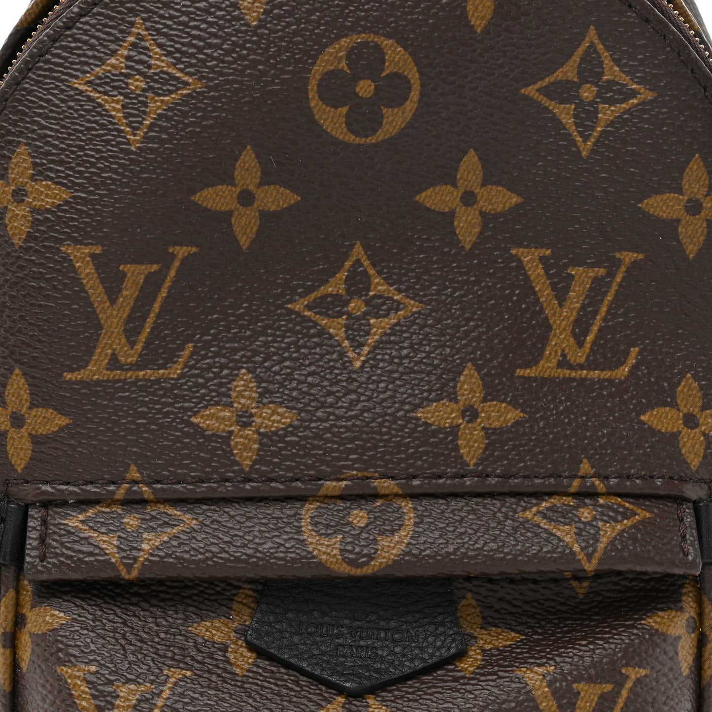 Monogram Palm Springs Backpack Mini