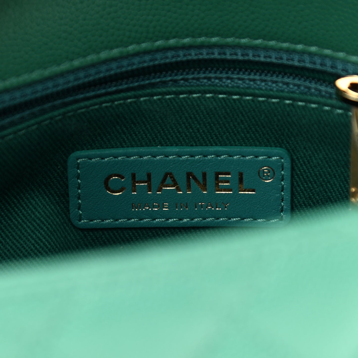 Caviar Lizard Quilted Mini Coco Handle Flap Green
