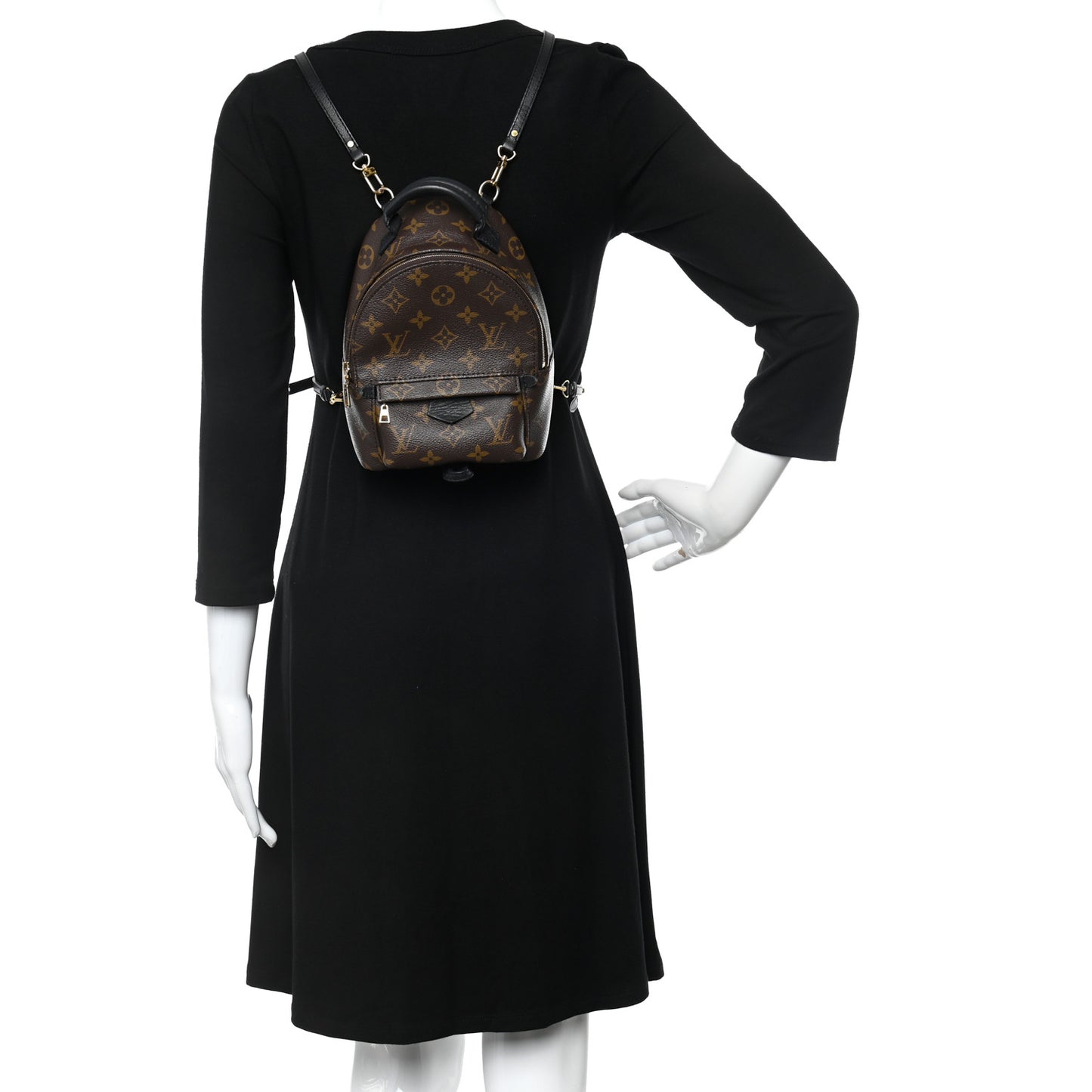 Monogram Palm Springs Backpack Mini
