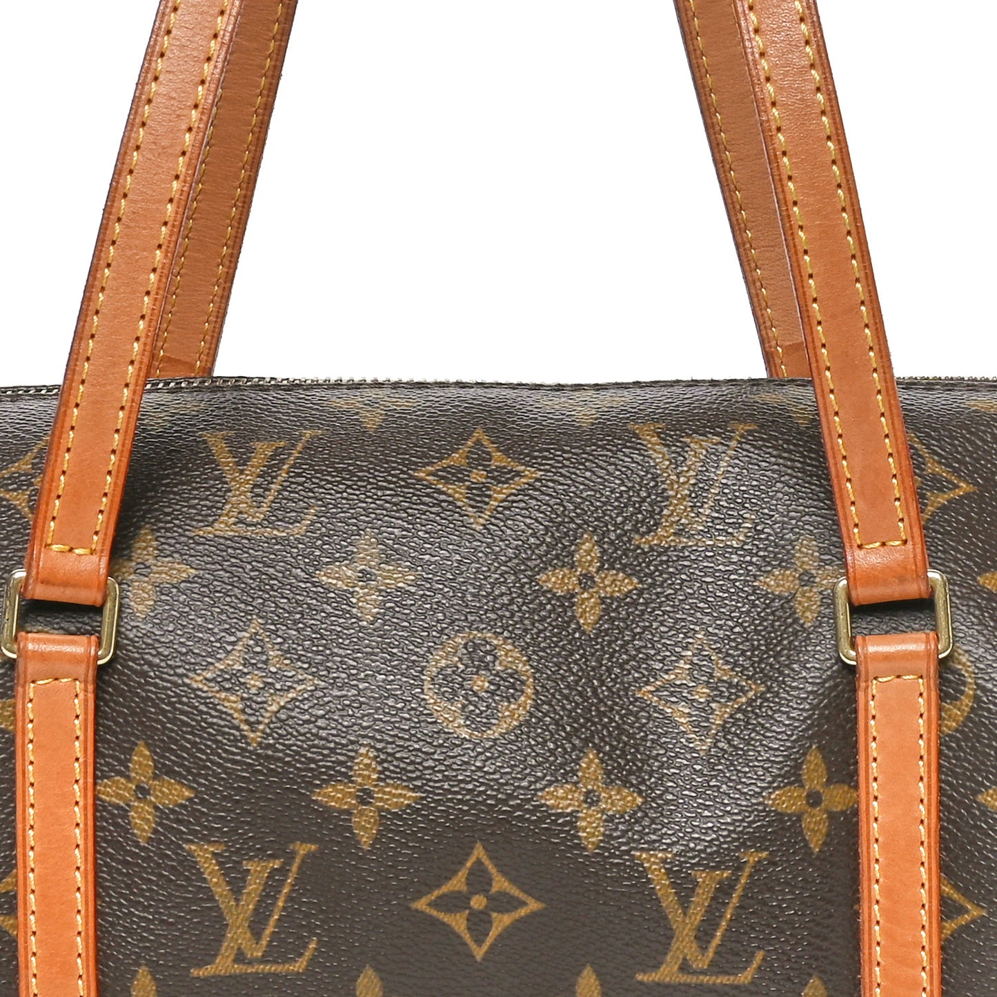 Monogram Papillon 30 with Companion