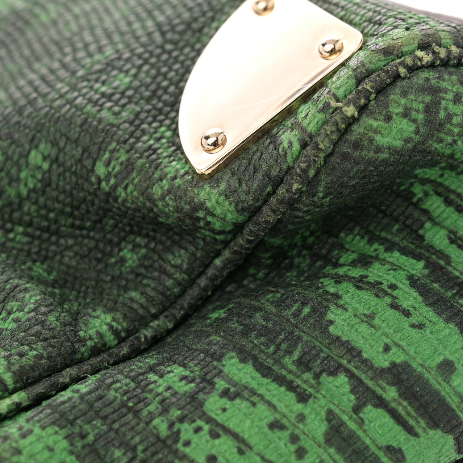Mulberry Lizard Print Travel Day Grass Green 13 of 14