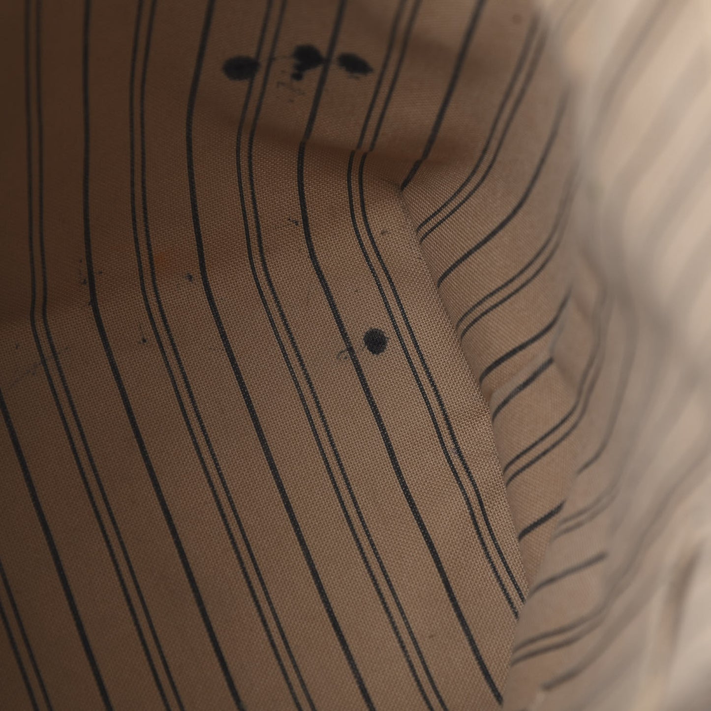 Empreinte Bagatelle Dune