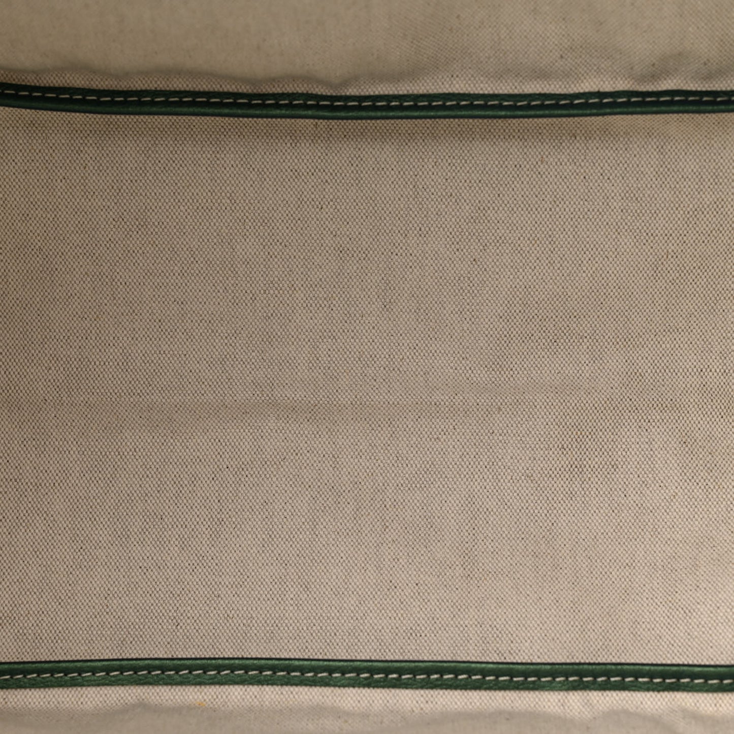 Iridescent Goyardine Saint Louis GM Pearly Green