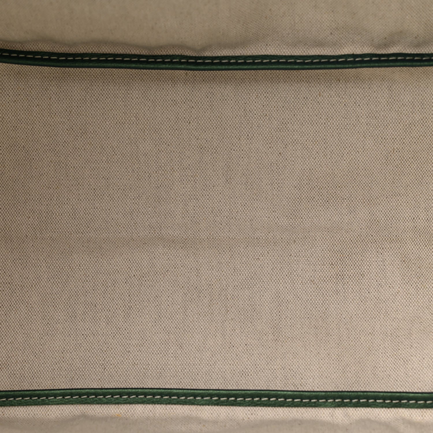 Goyard Iridescent Goyardine Saint Louis GM Pearly Green 6 of 11