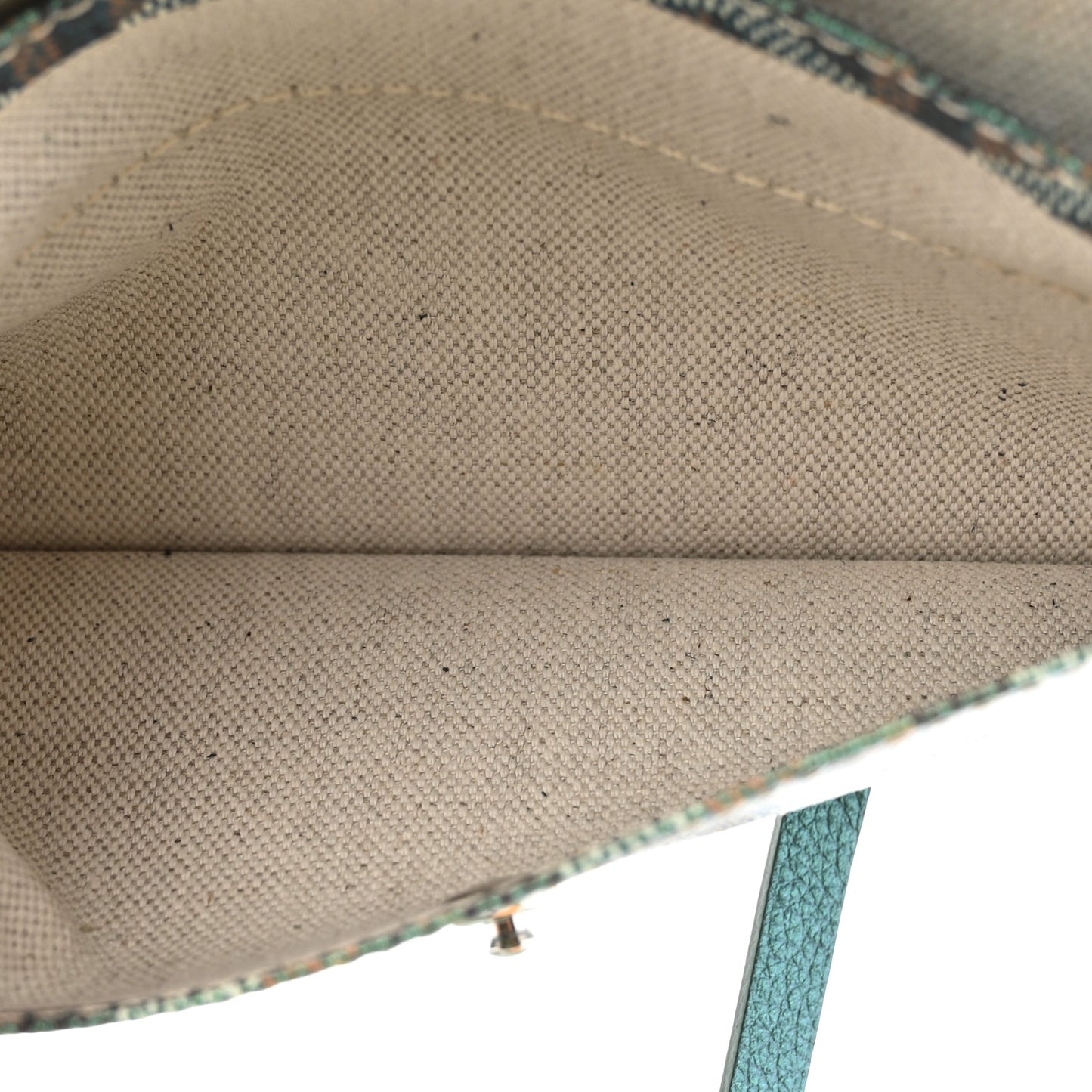 Iridescent Goyardine Saint Louis PM Pearly Green