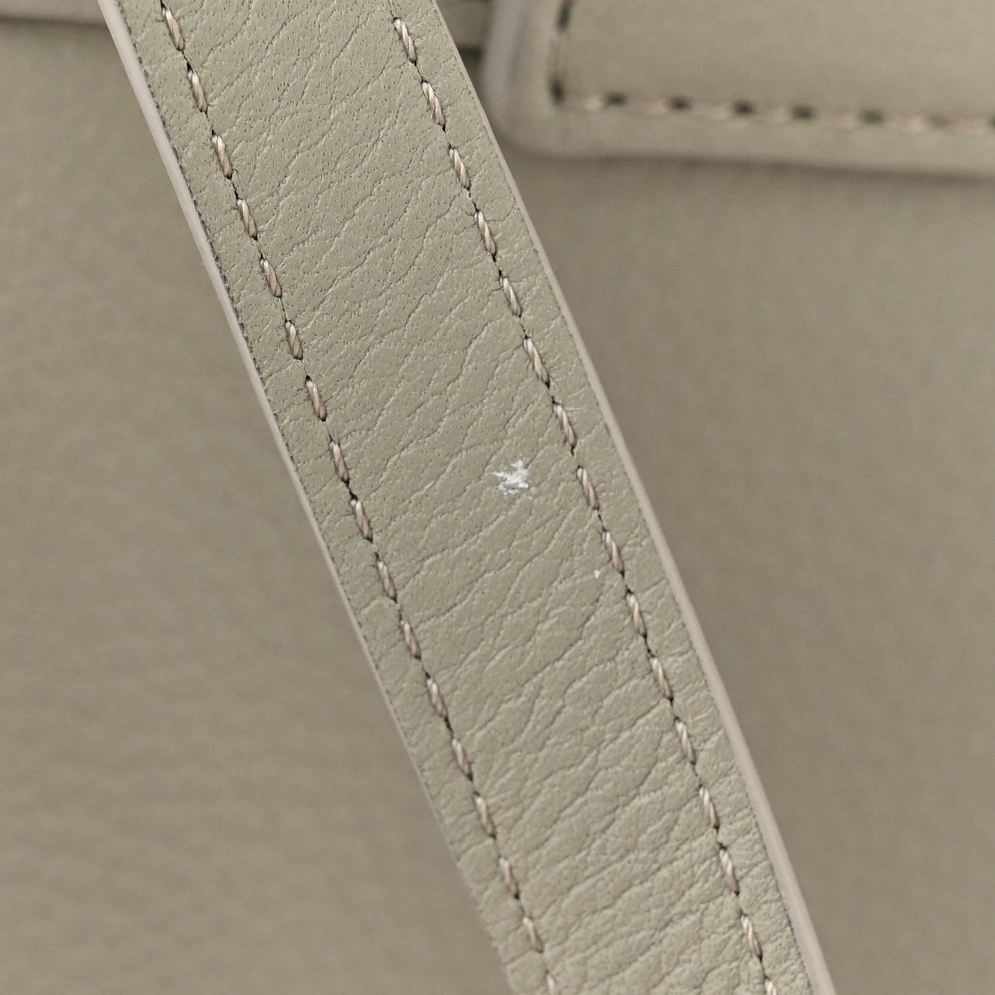 Grained Calfskin Teen Conti Green Clay