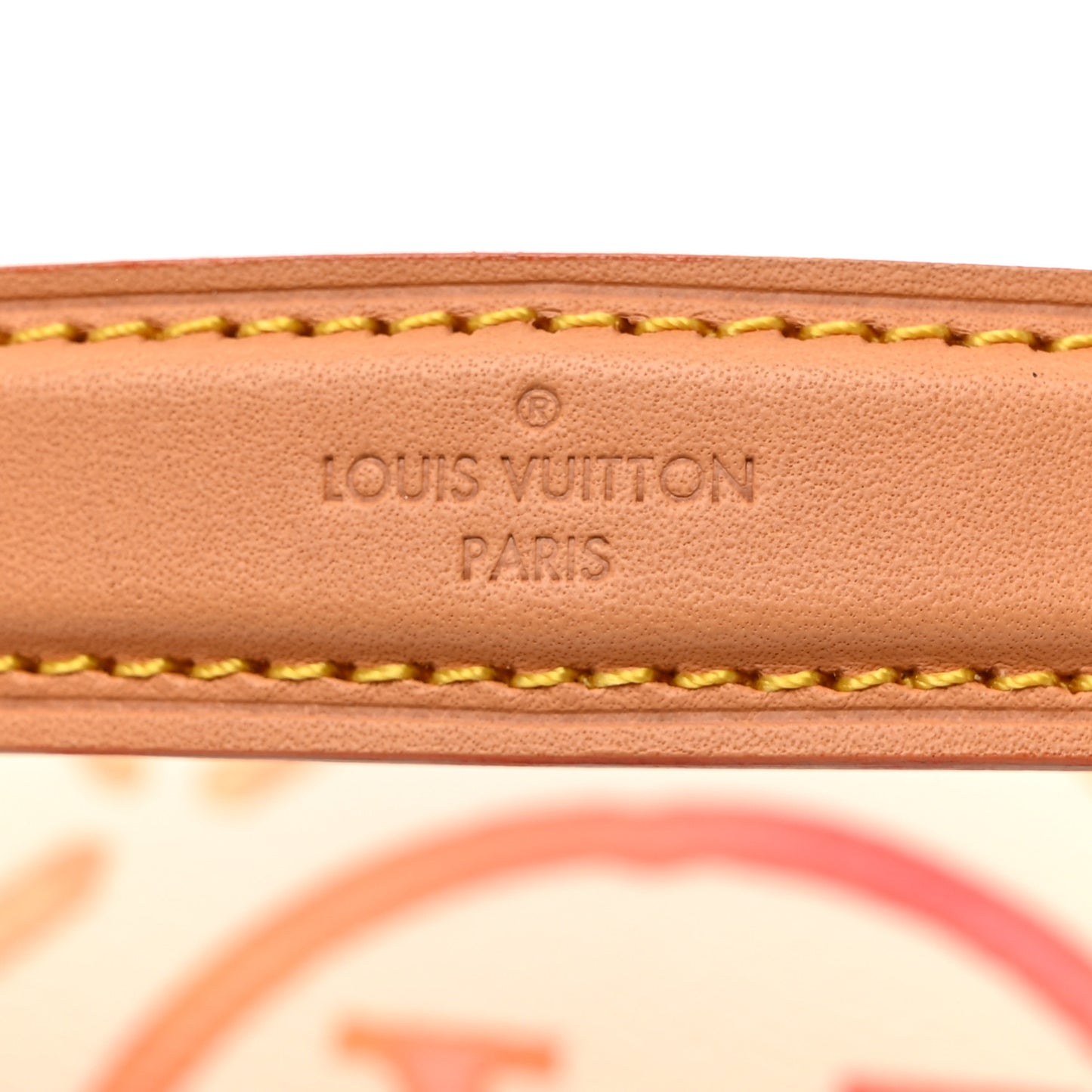 Monogram LV By the Pool Nano Diane Coral