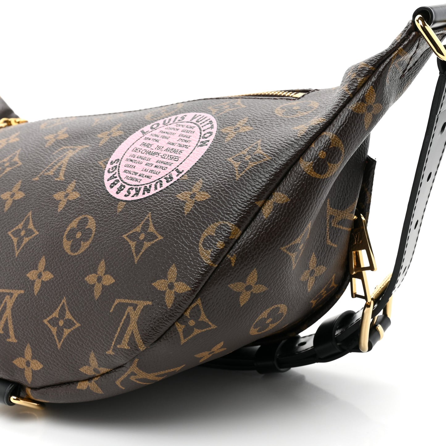 Monogram My LV World Tour Bumbag