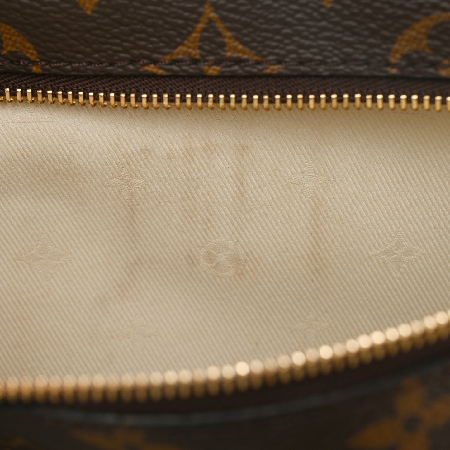 Monogram High Rise Bumbag