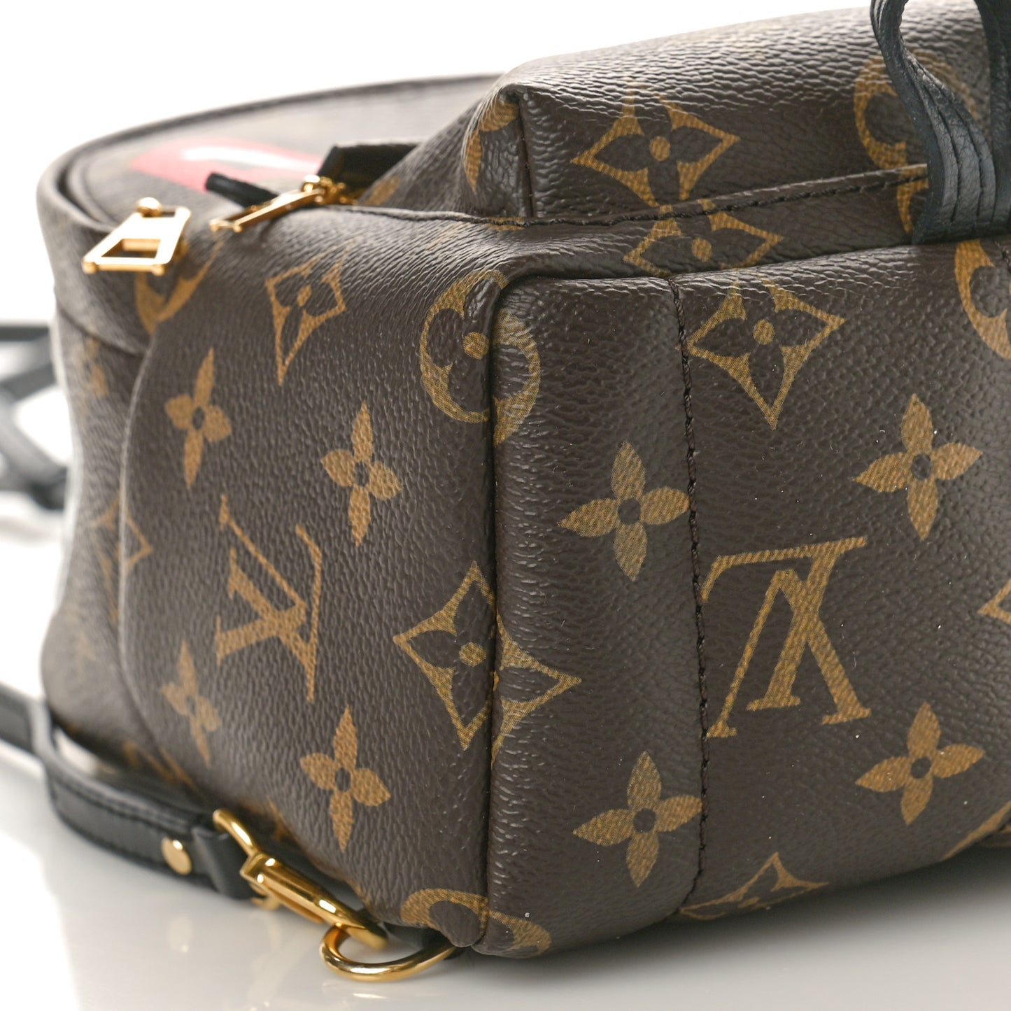 Monogram World Tour Palm Springs Backpack Mini