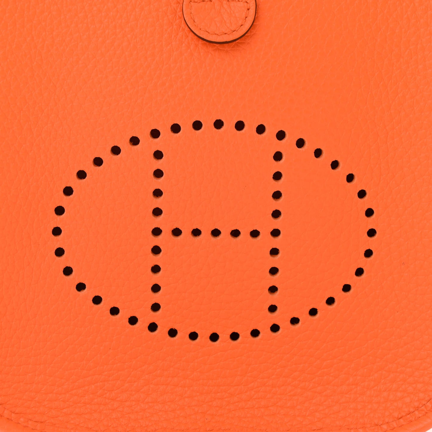 Taurillon Clemence Evelyne TPM Orange