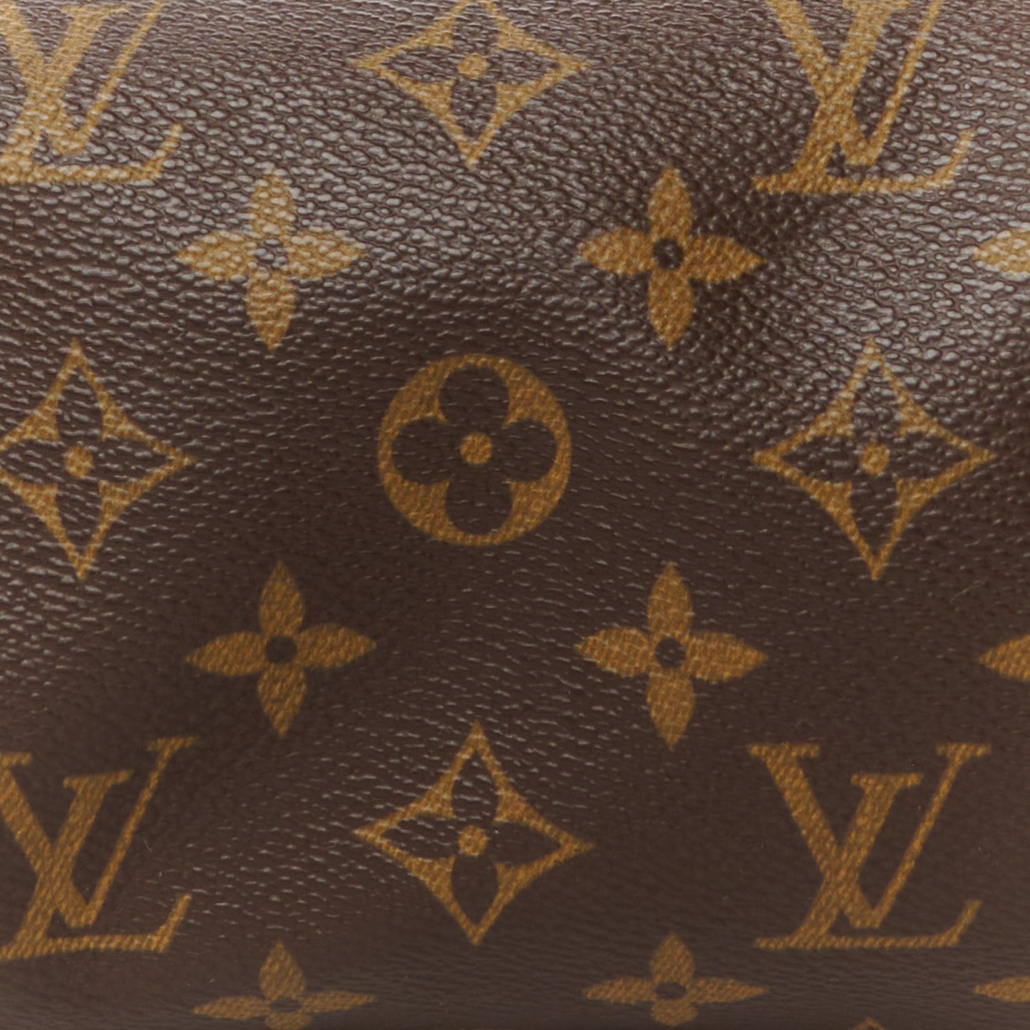Monogram Papillon 26