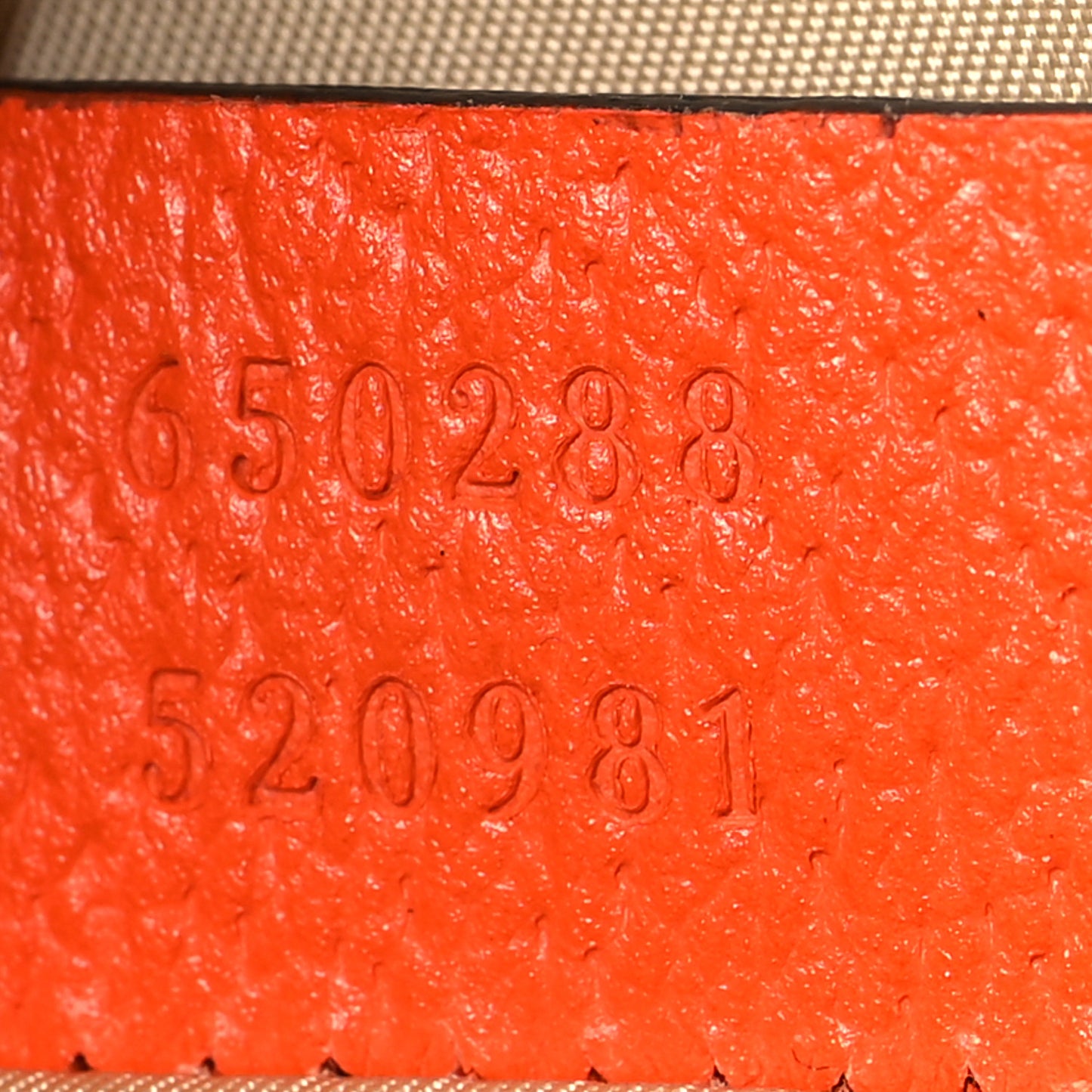X THE NORTH FACE Monogram Textured Dollar Calfskin Embroidered Beige Ebony Mystic White Deep Orange