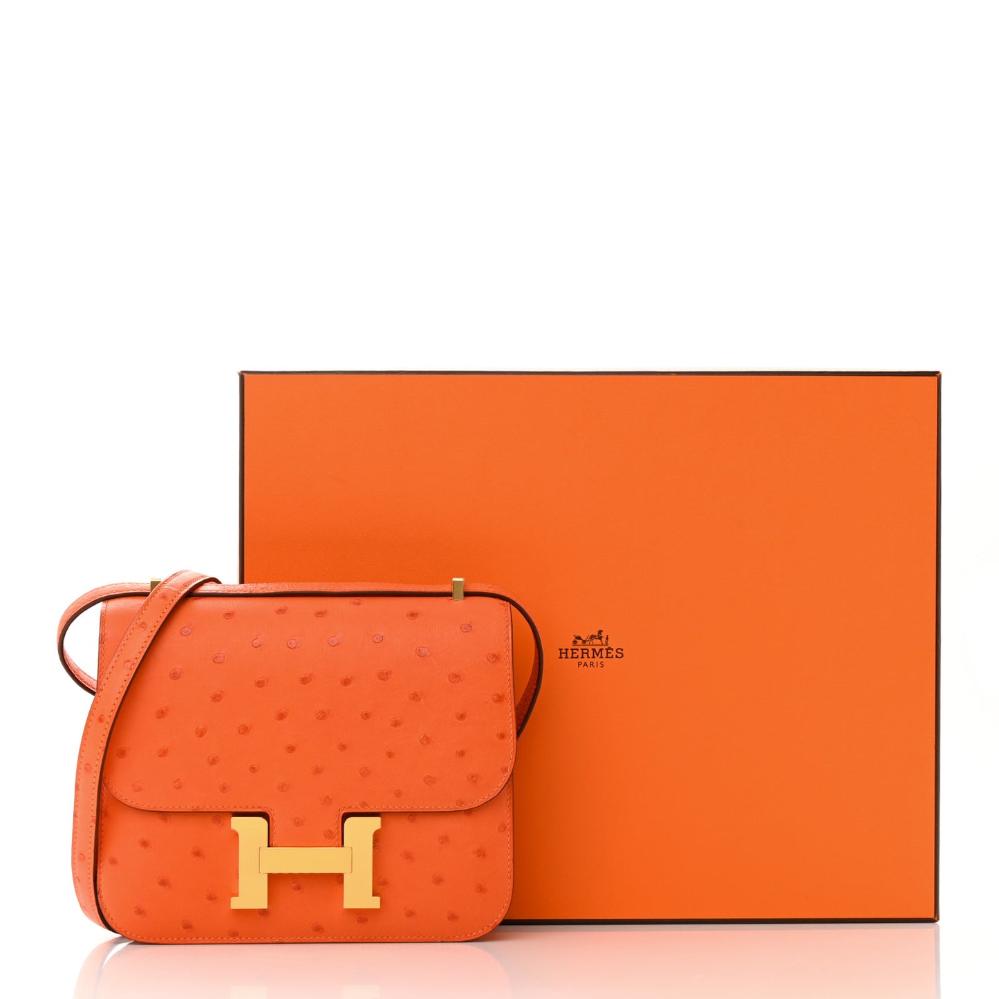 Ostrich Constance 18 Tangerine