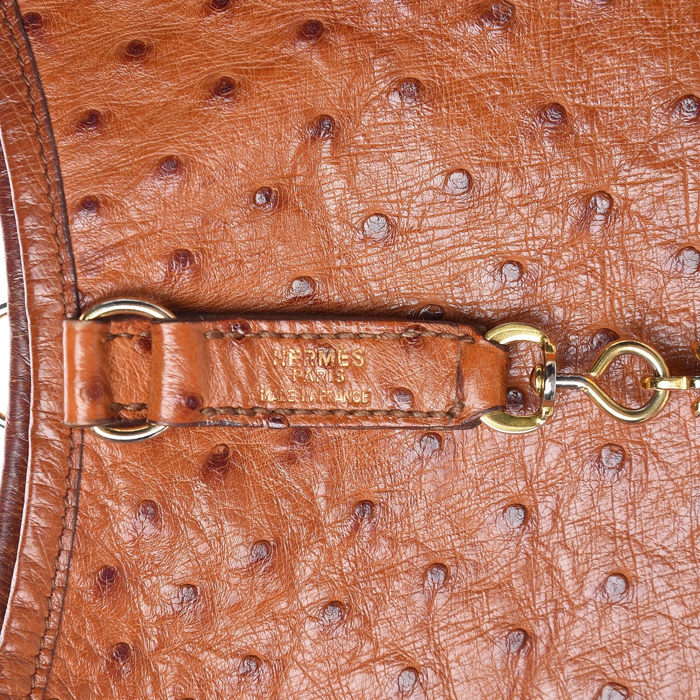 Ostrich Trim II 31 Cognac