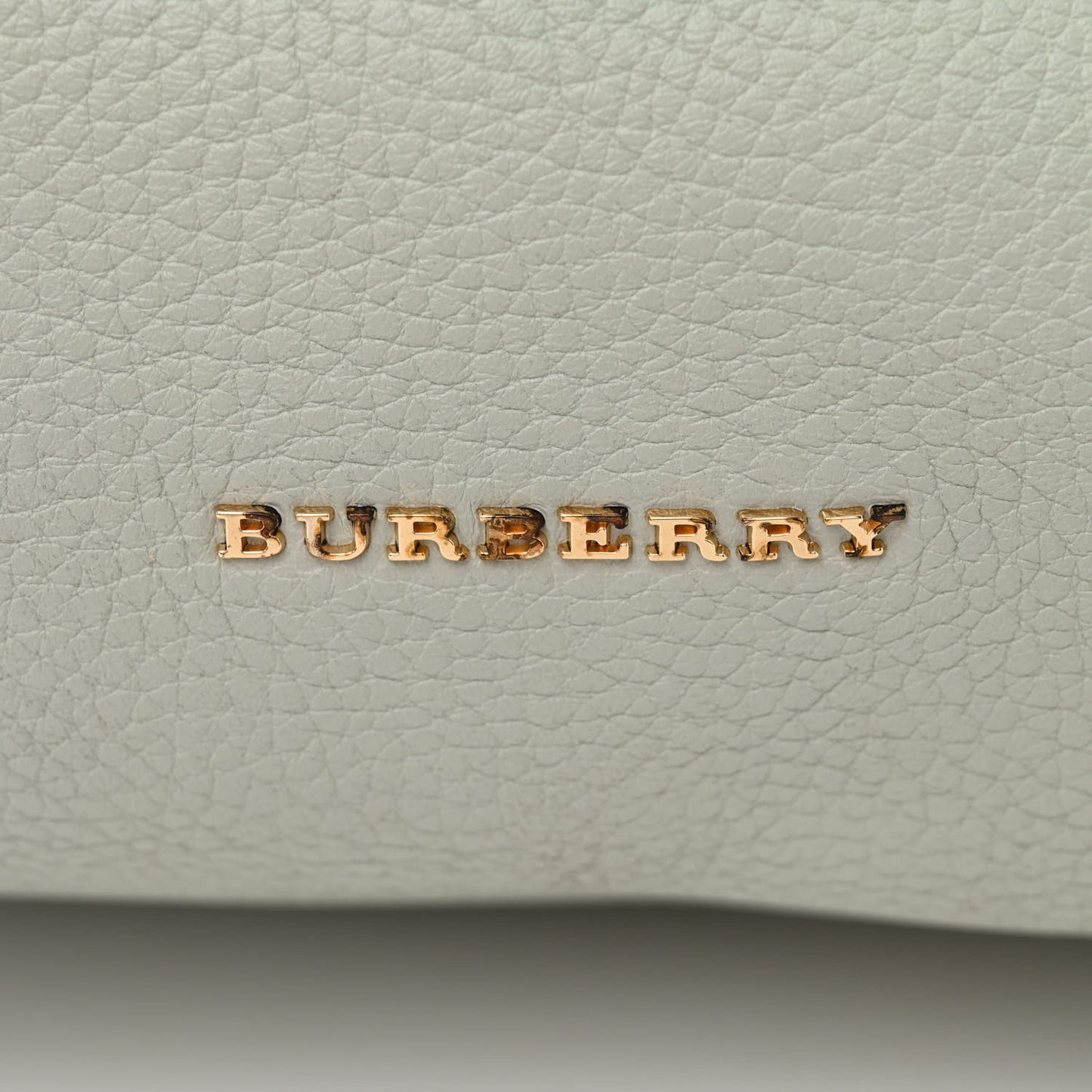 Grainy Calfskin Medium Cale Hobo Sky Blue