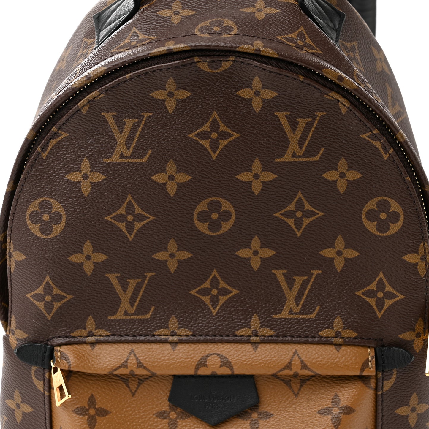Reverse Monogram Palm Springs Backpack PM