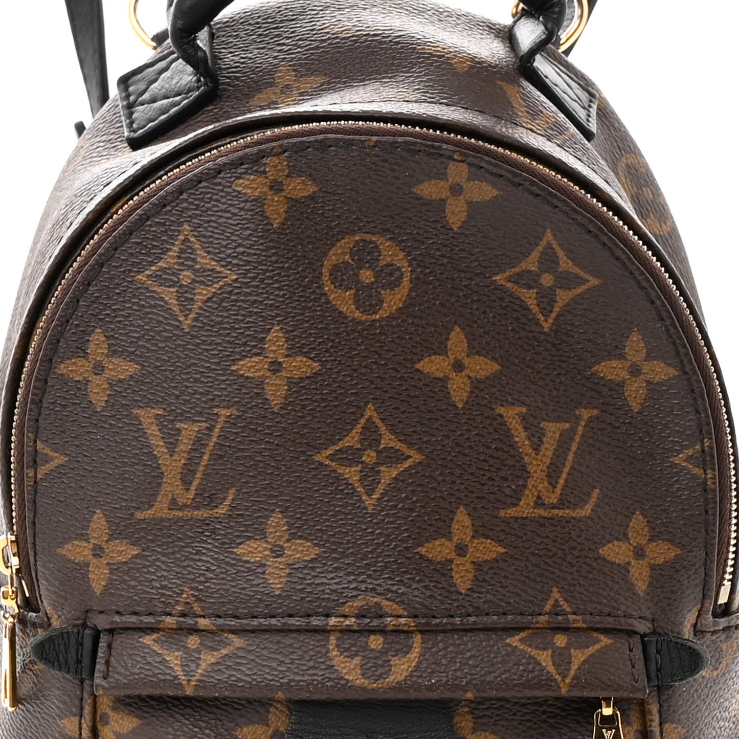 Monogram Palm Springs Backpack Mini