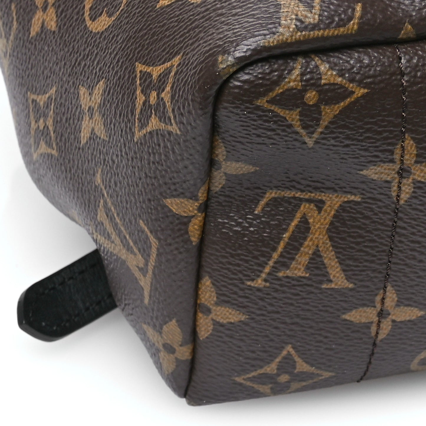 Monogram Palm Springs Backpack MM