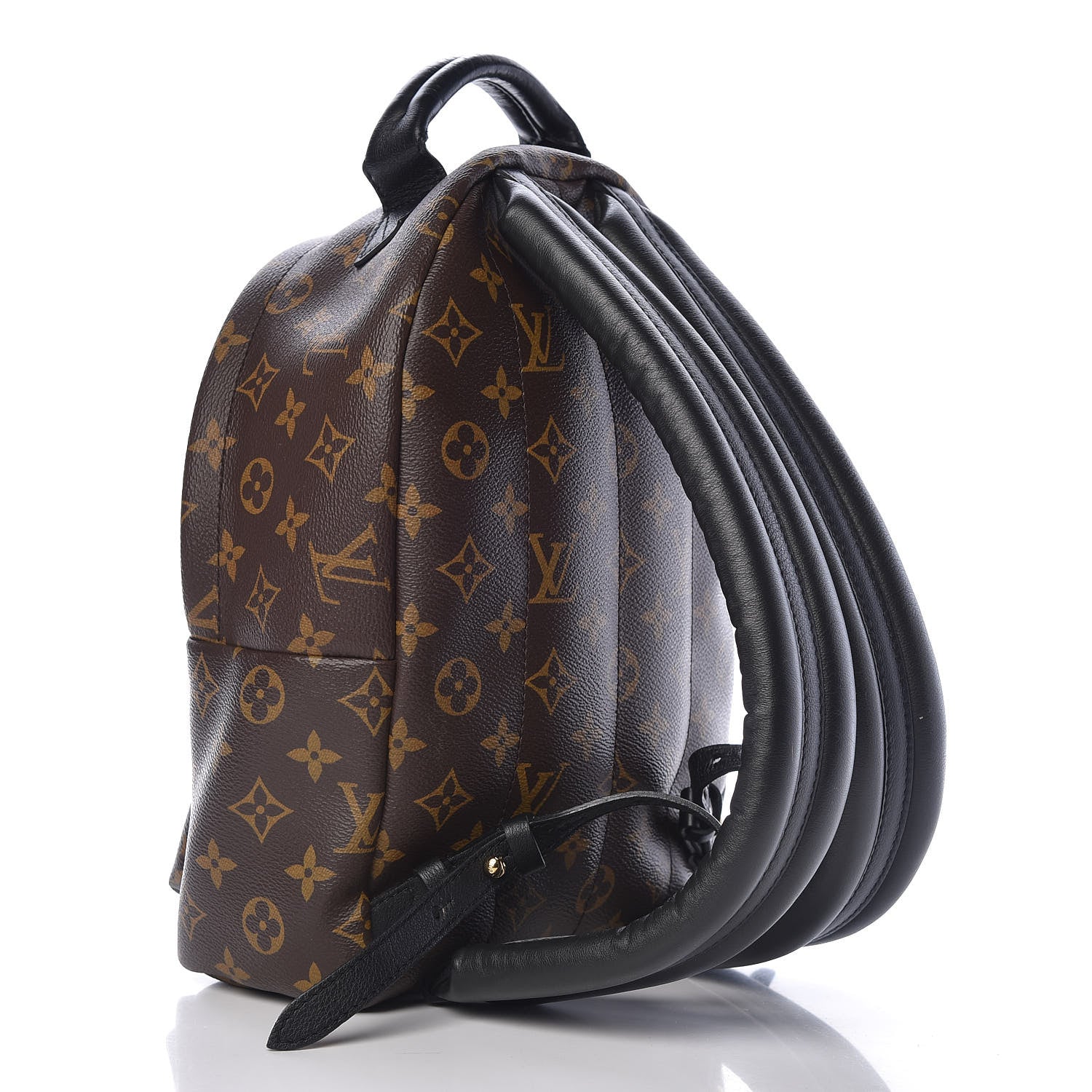 Louis Vuitton Monogram Palm Springs Backpack PM 3 of 10