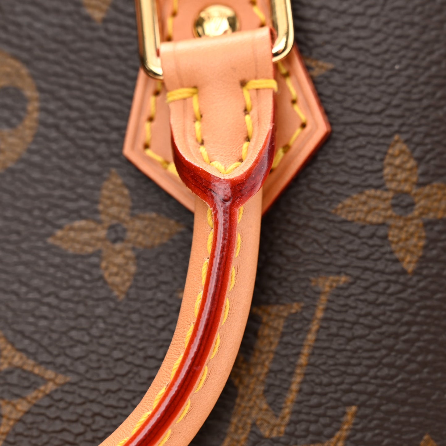 Monogram Nano Alma