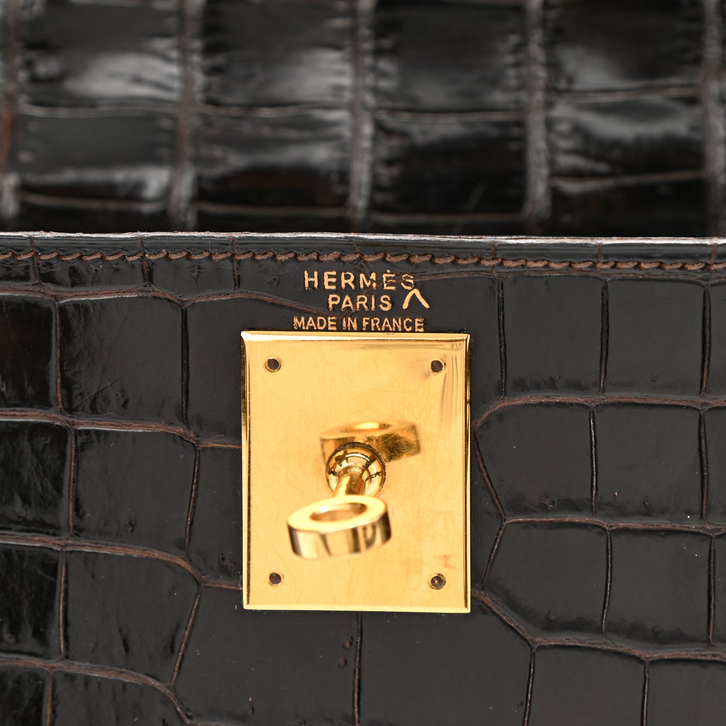 Shiny Porosus Crocodile Kelly Sellier 28