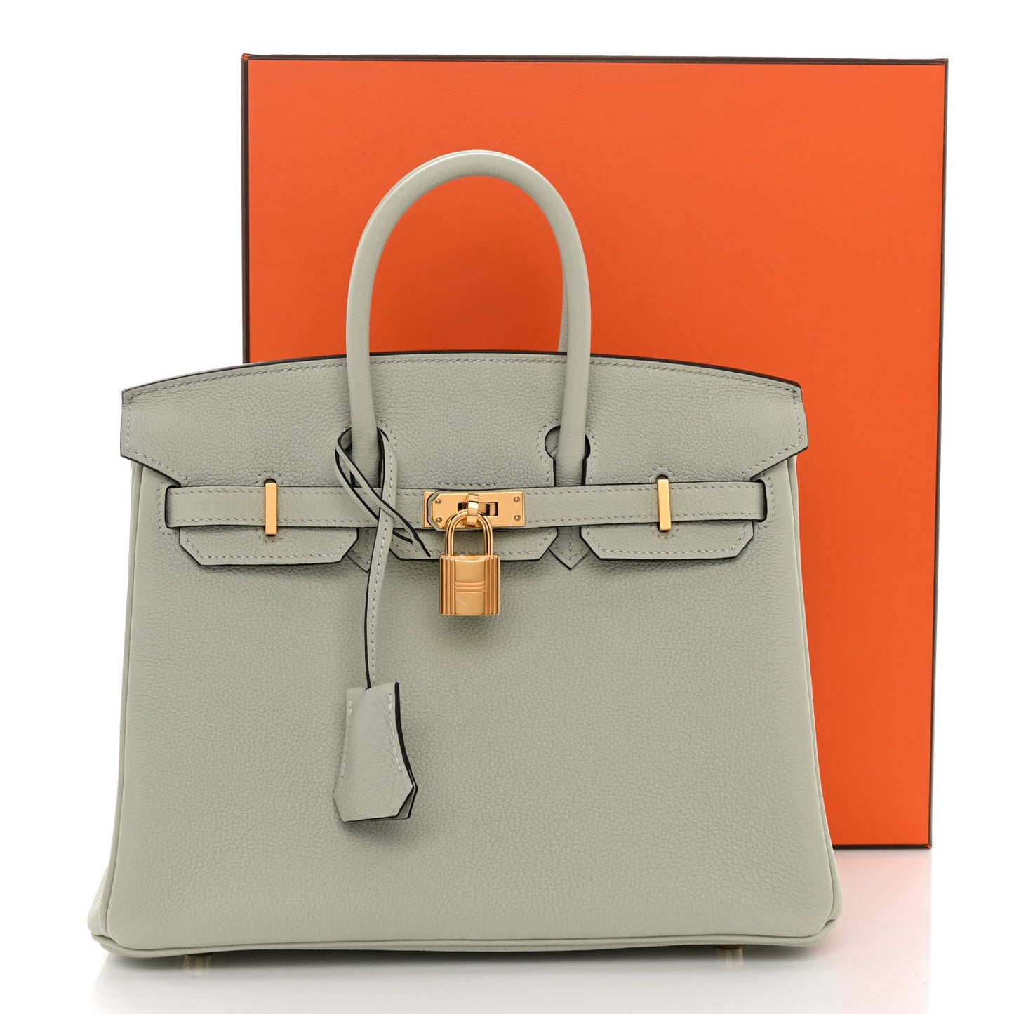 Togo Birkin 25 Gris Neve