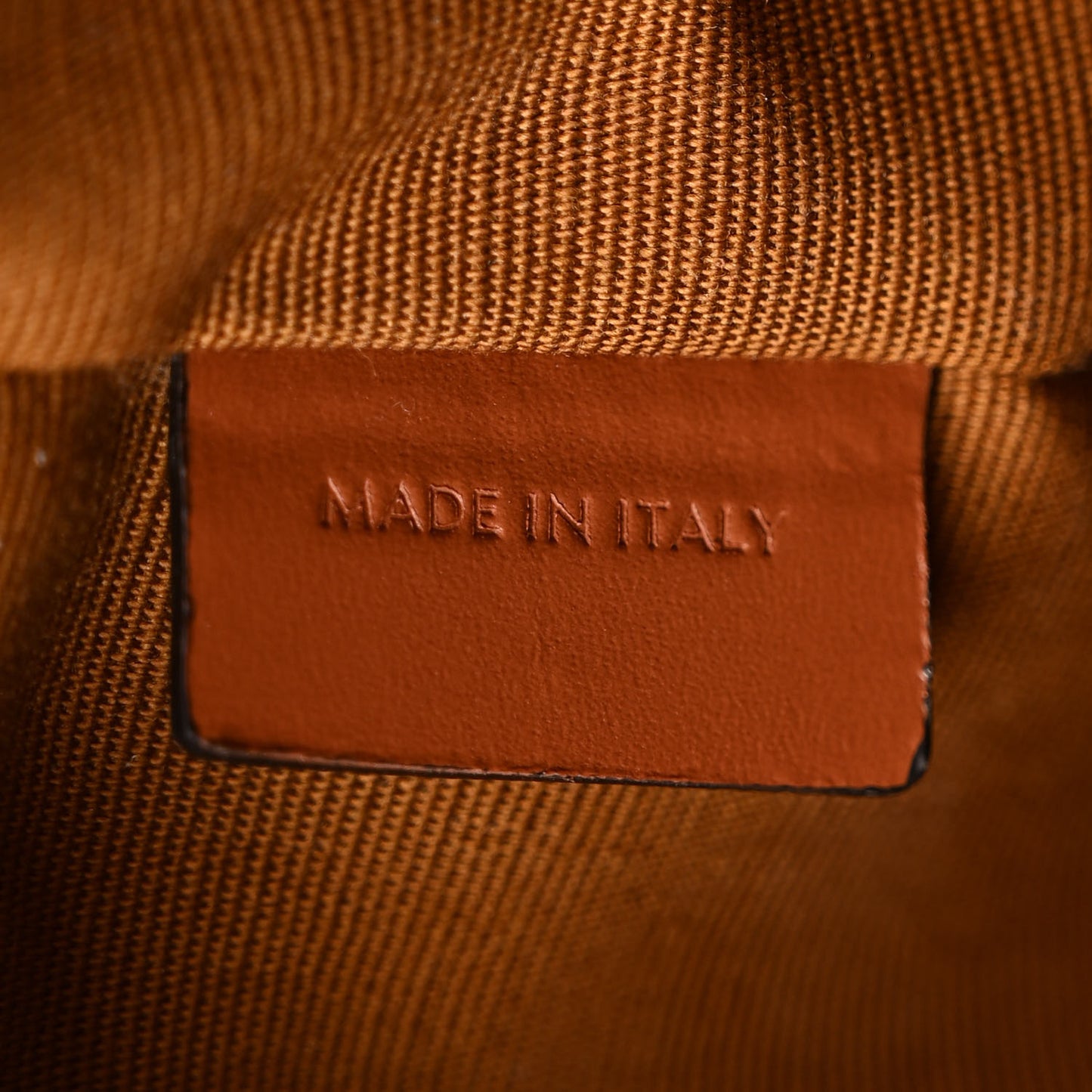 Triomphe Canvas Calfskin Medium Strap Ava Triomphe Shoulder Bag Tan