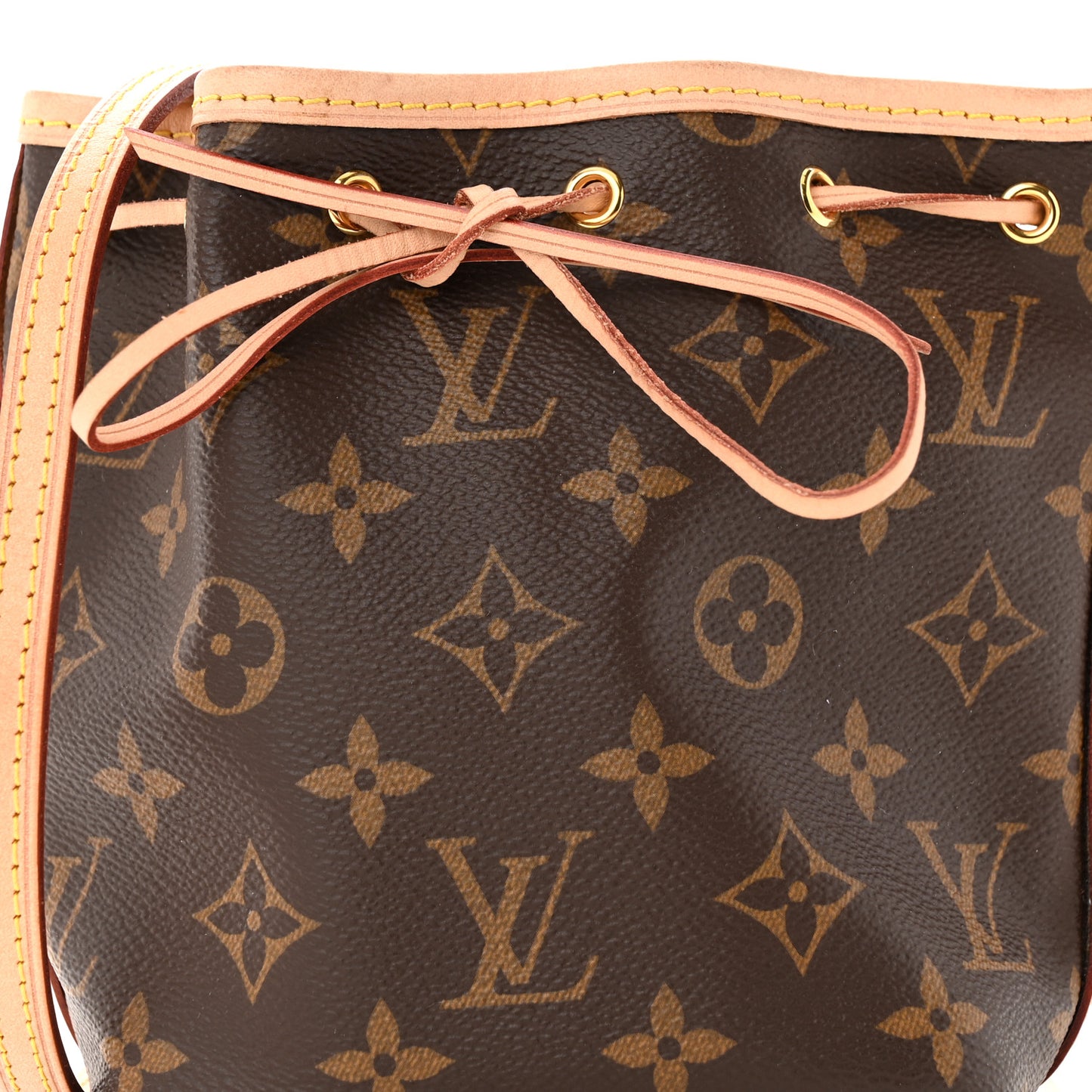 Monogram Nano Noe